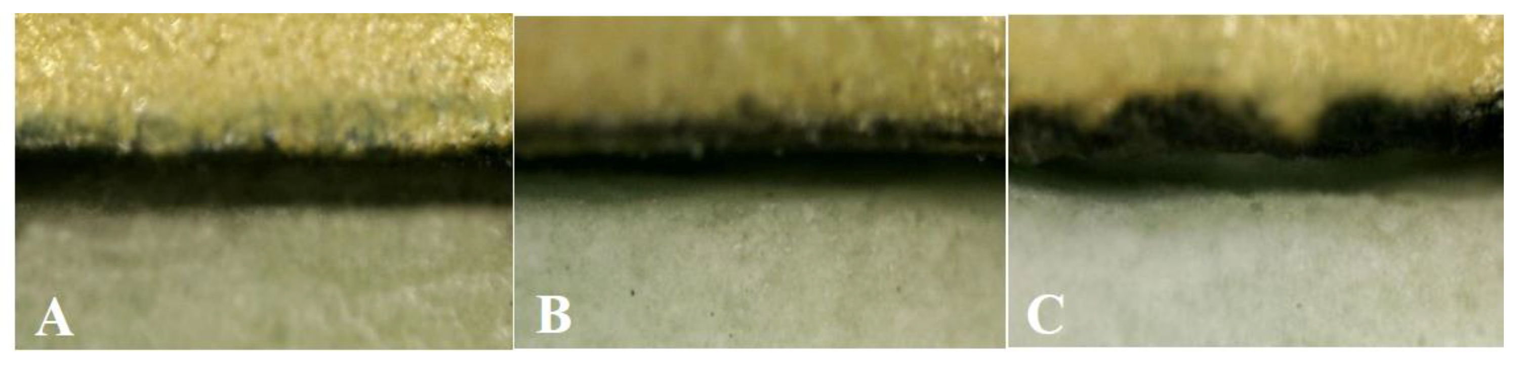 Ijms 24 07203 g009 Ijms 24 07203 g009