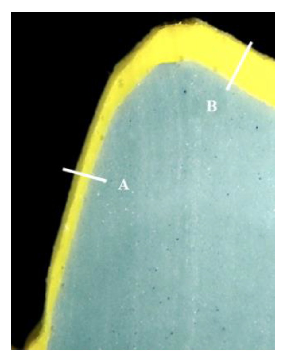 Ijms 24 07203 g010 Ijms 24 07203 g010