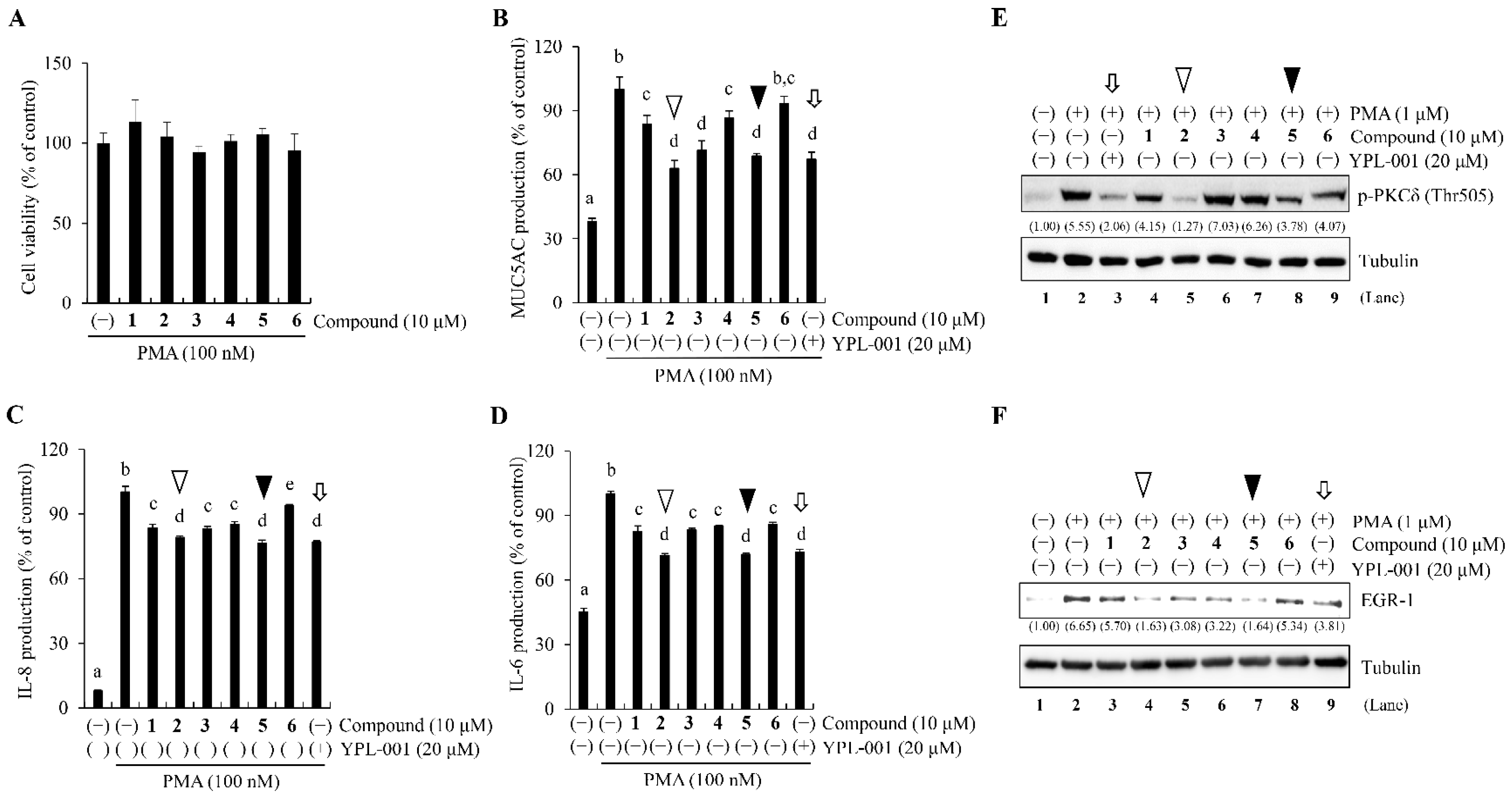 Ijms 24 07229 g005 Ijms 24 07229 g005