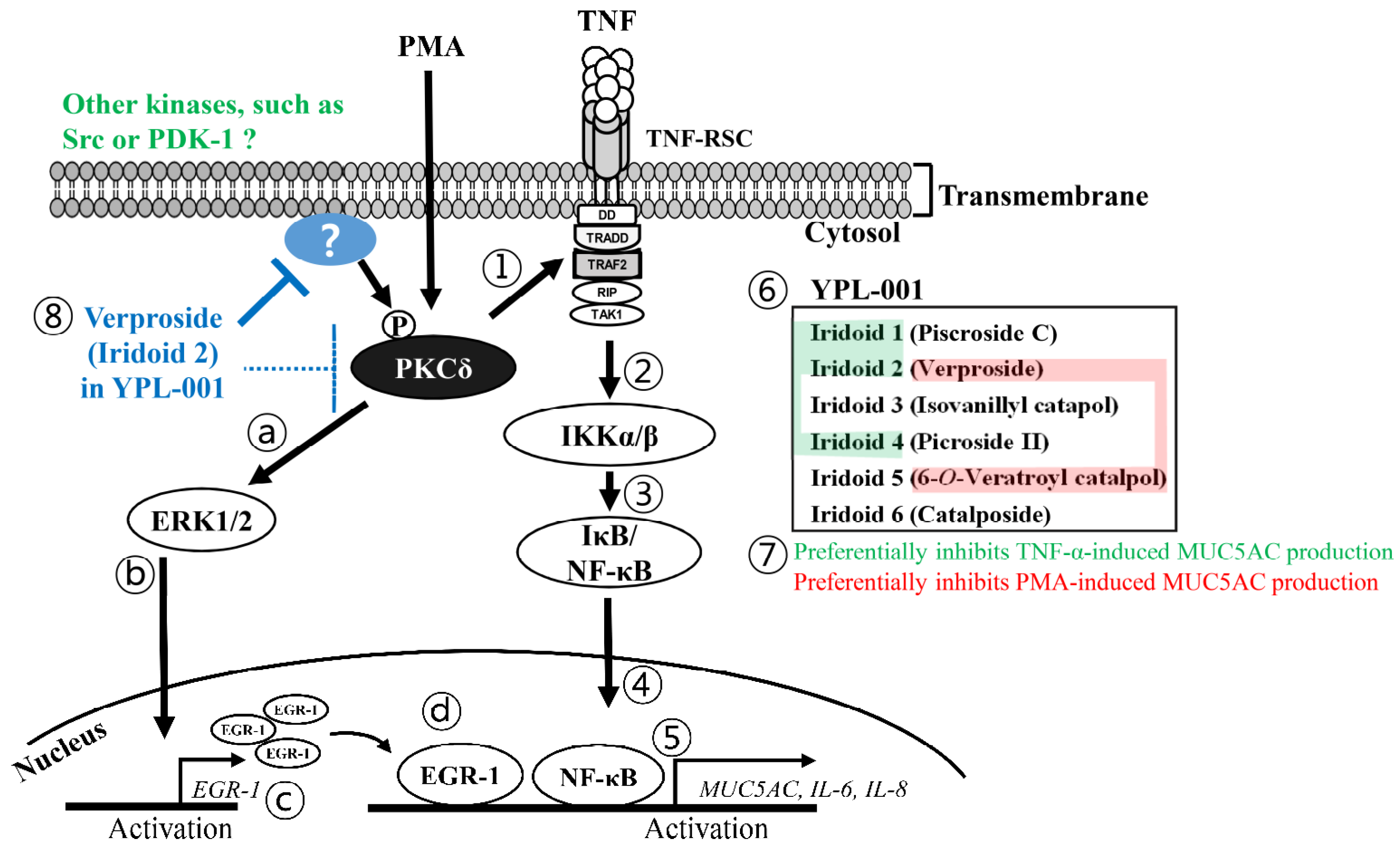 Ijms 24 07229 g007 Ijms 24 07229 g007