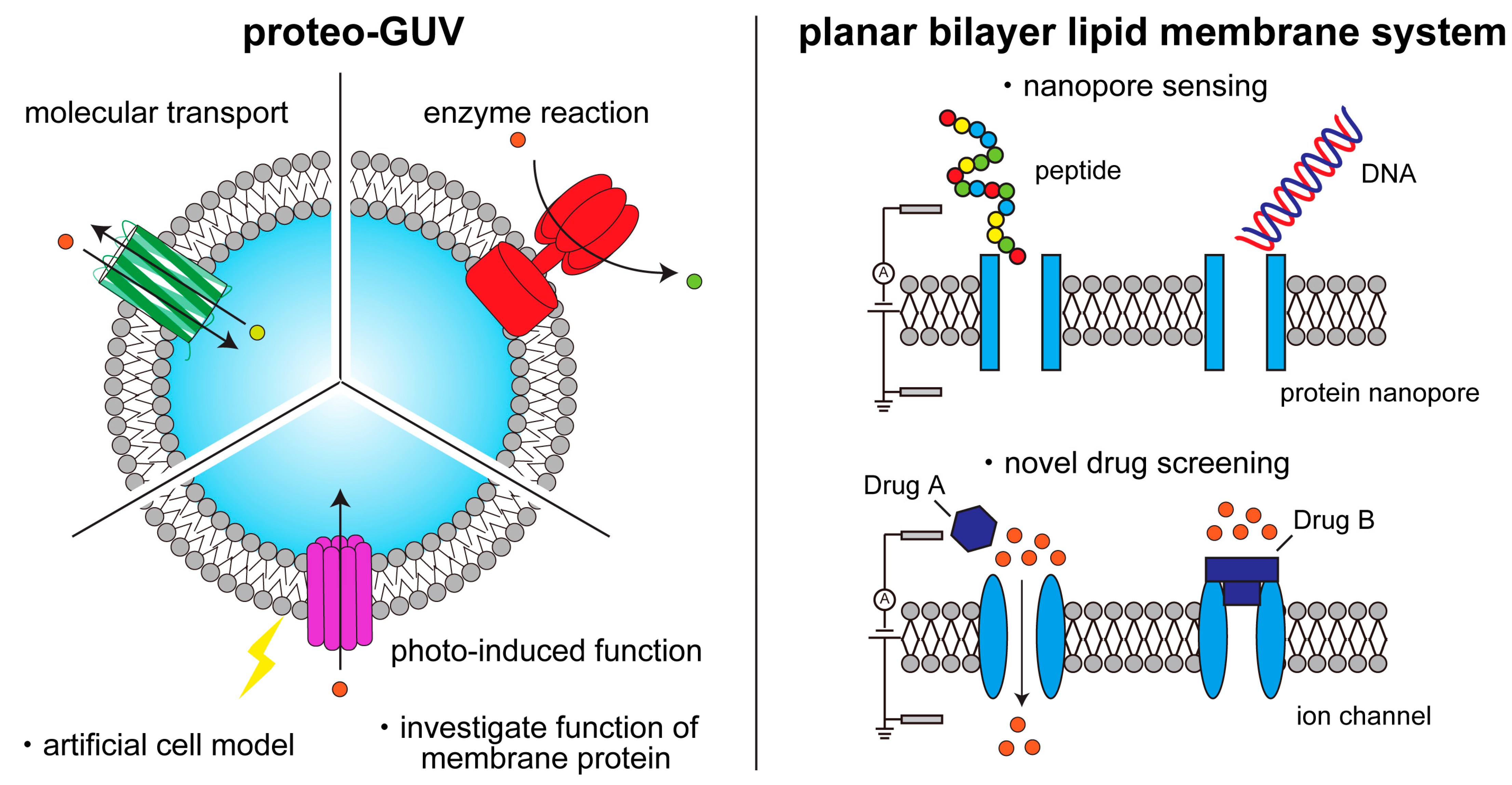Ijms 24 07231 g001 Ijms 24 07231 g001
