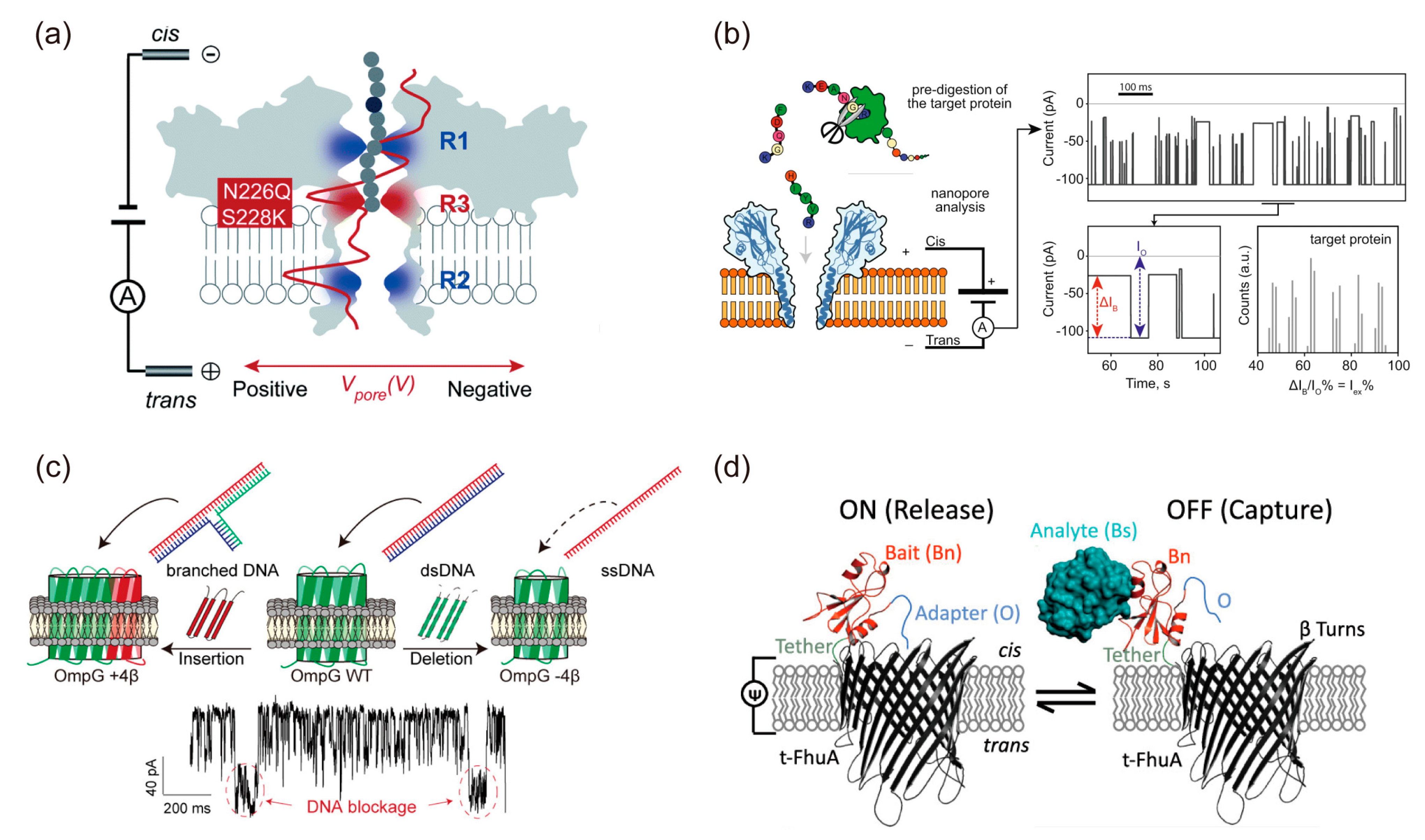 Ijms 24 07231 g006 Ijms 24 07231 g006