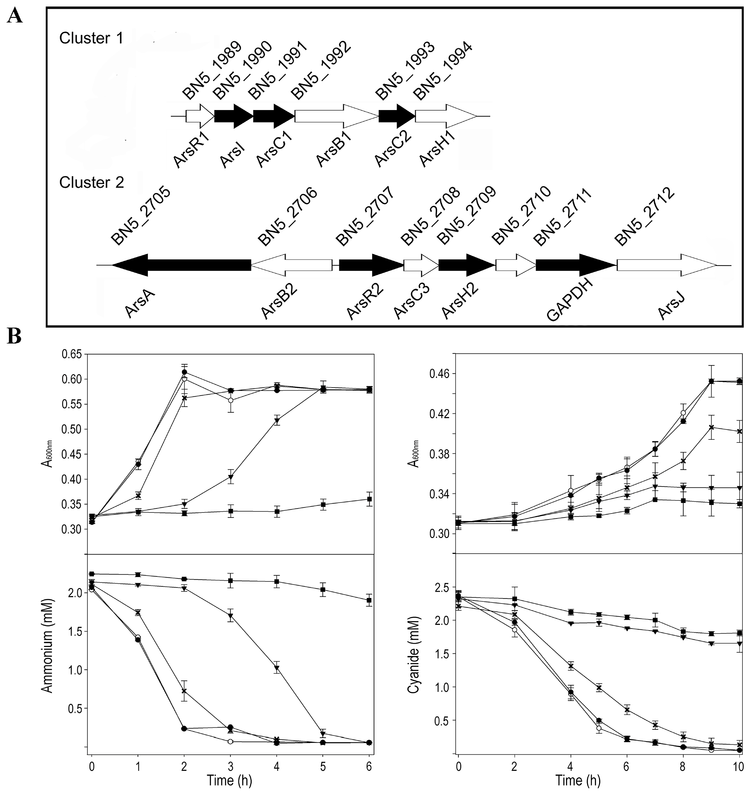 Ijms 24 07232 g001 Ijms 24 07232 g001