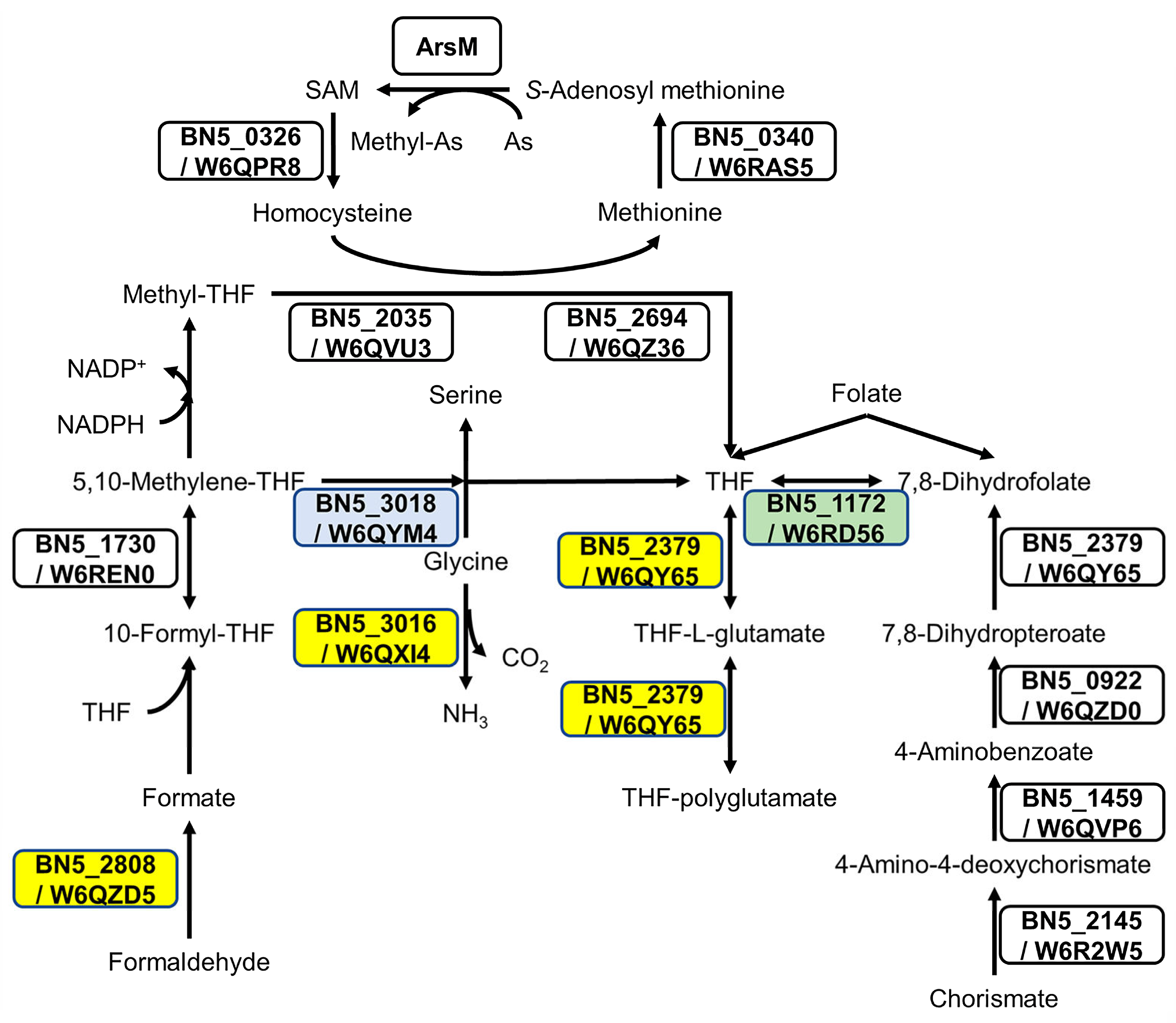Ijms 24 07232 g002 Ijms 24 07232 g002