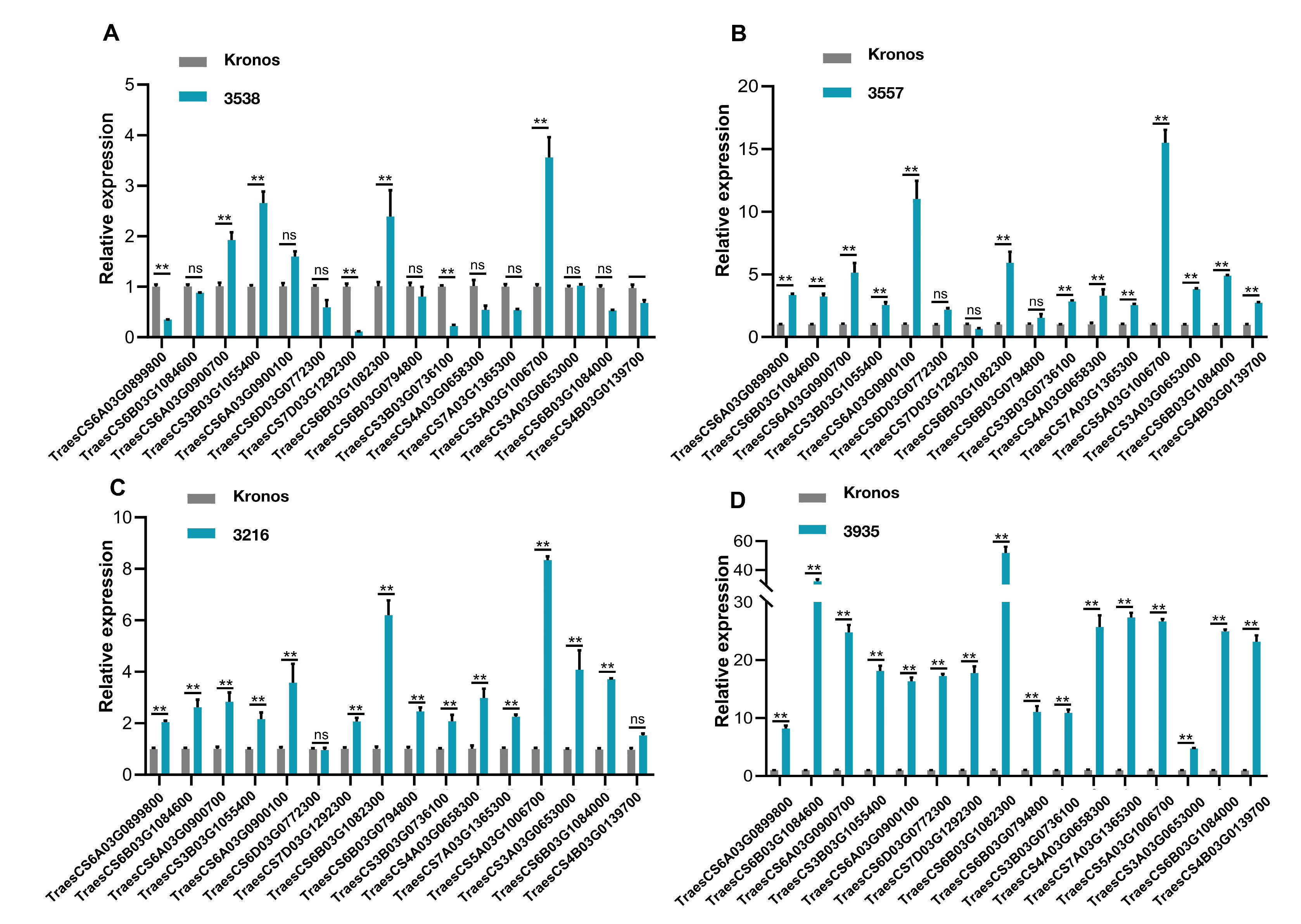 Ijms 24 07245 g008 Ijms 24 07245 g008