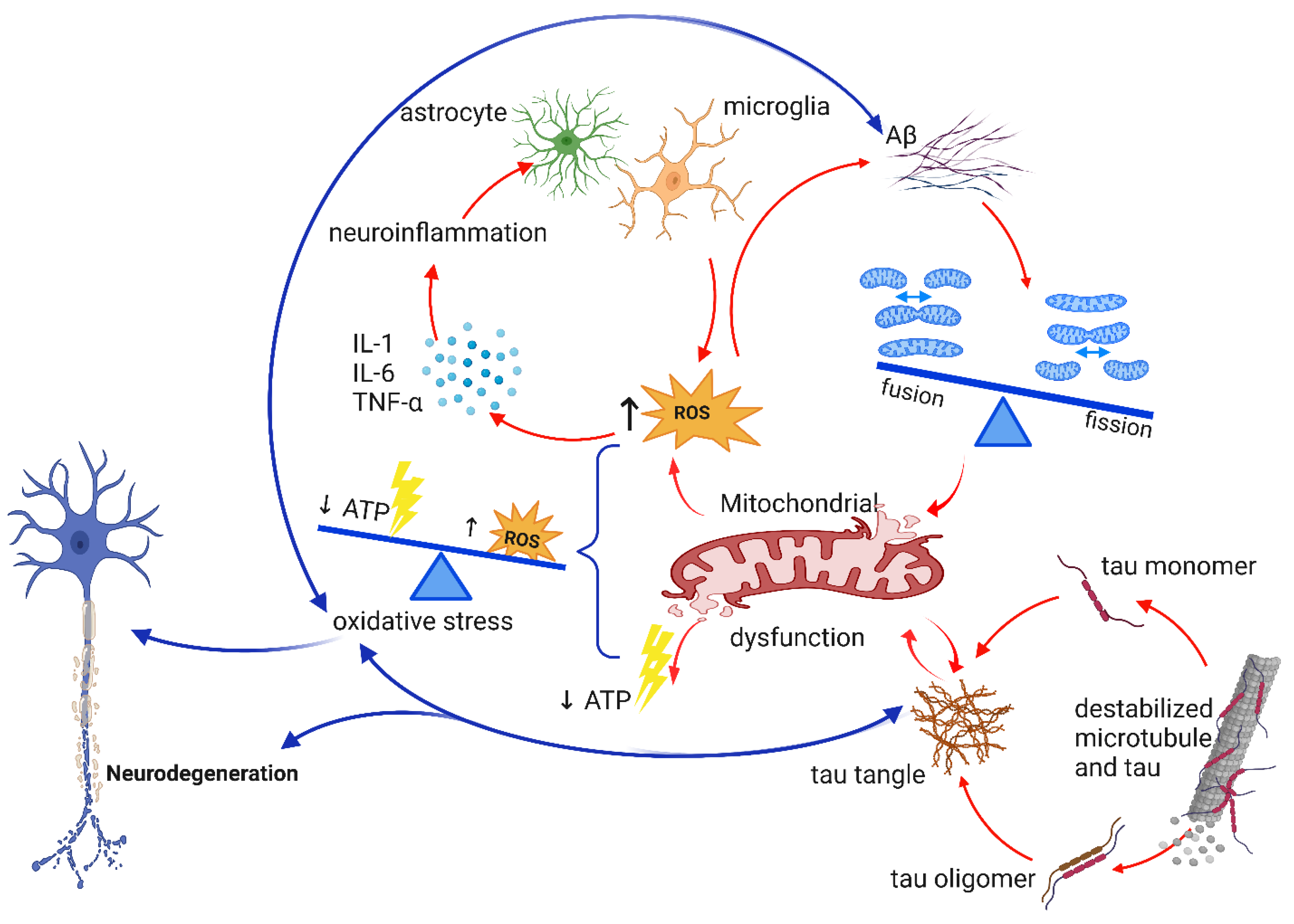 Ijms 24 07258 g004 Ijms 24 07258 g004