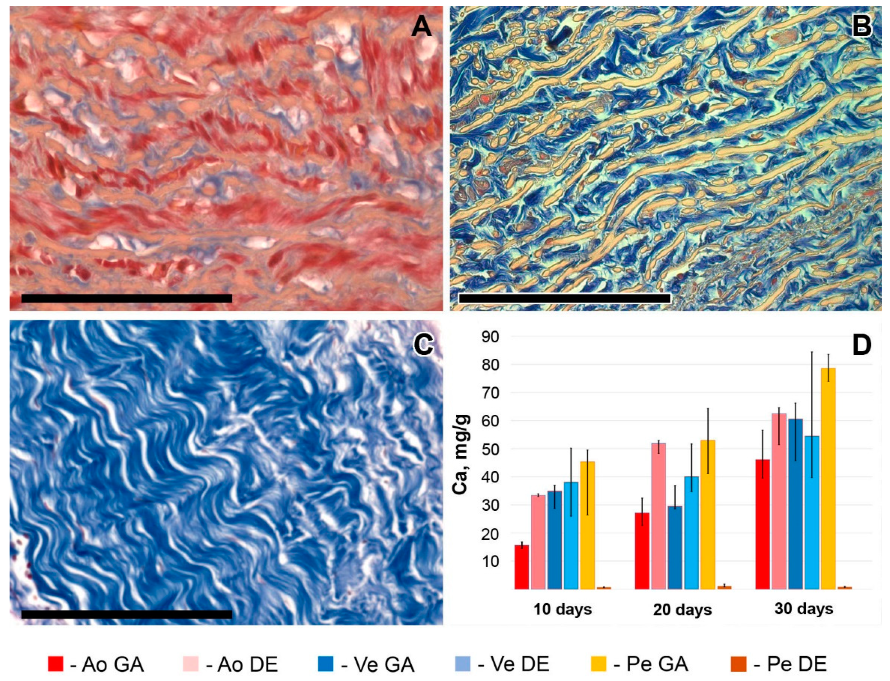 Ijms 24 07274 g001 Ijms 24 07274 g001