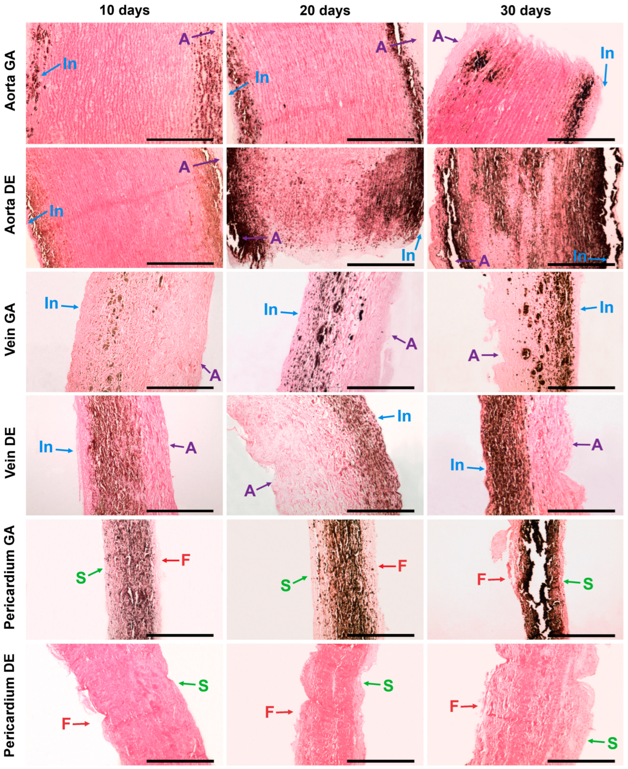Ijms 24 07274 g002 Ijms 24 07274 g002
