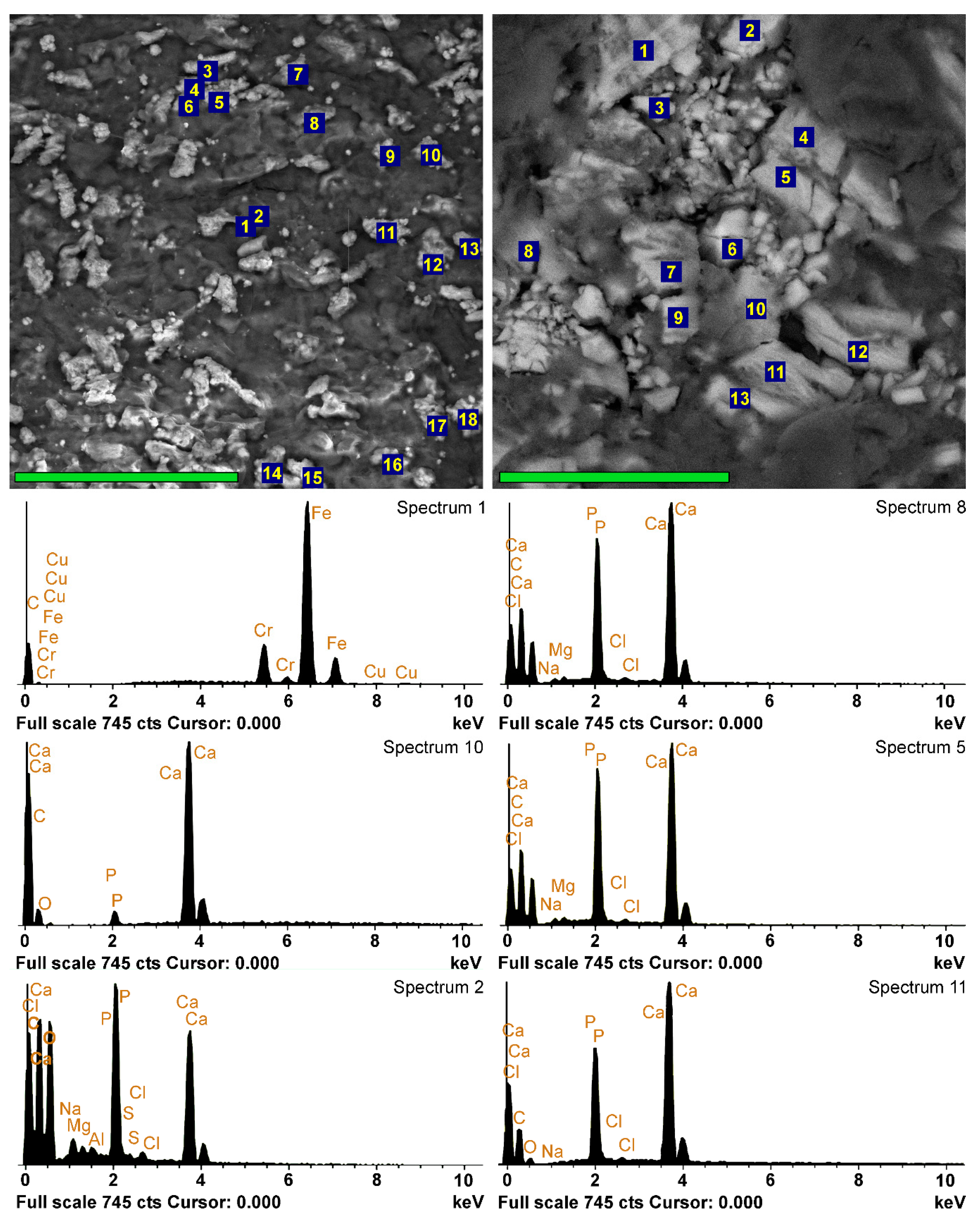 Ijms 24 07274 g003 Ijms 24 07274 g003