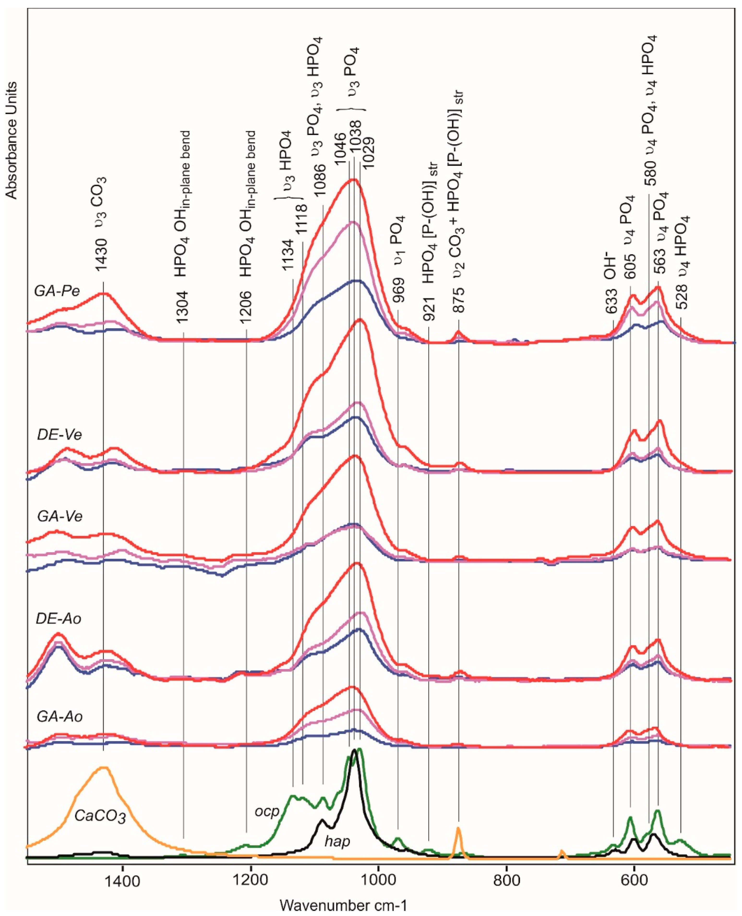 Ijms 24 07274 g006 Ijms 24 07274 g006