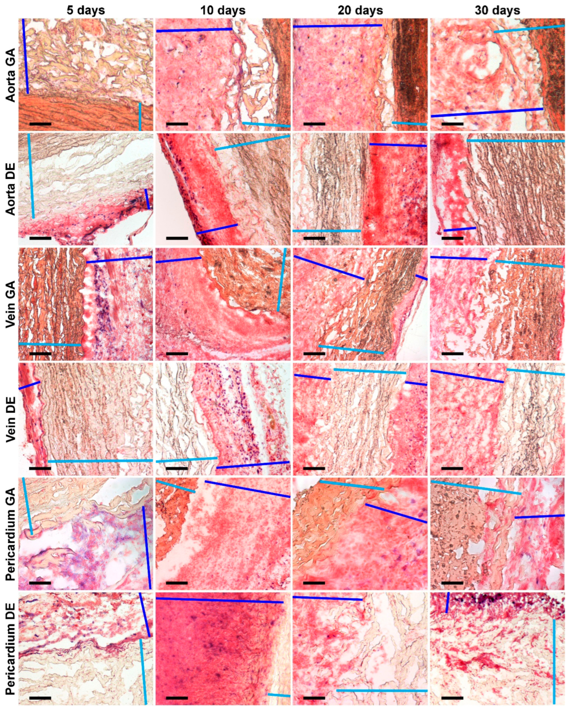 Ijms 24 07274 g007 Ijms 24 07274 g007