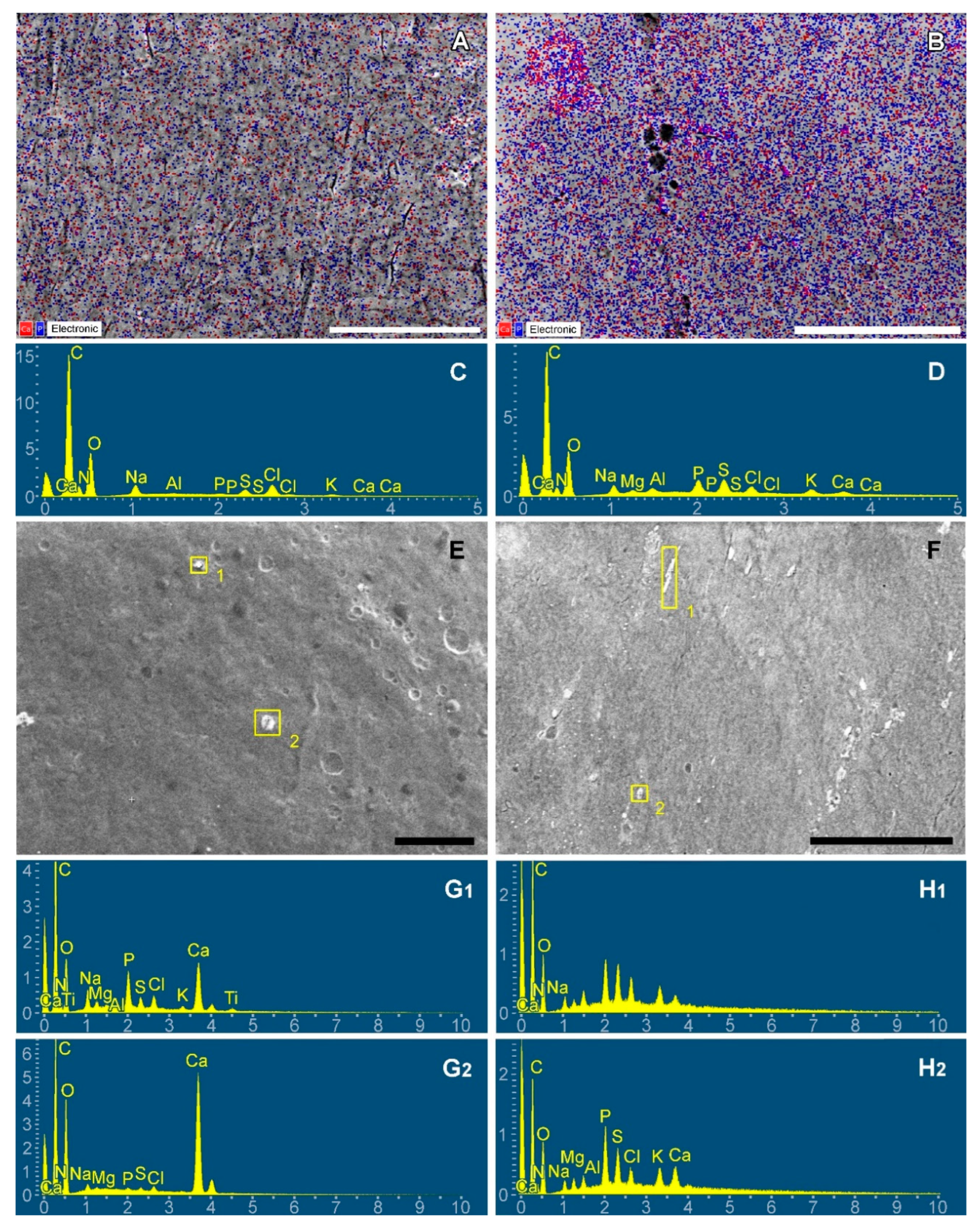 Ijms 24 07274 g009 Ijms 24 07274 g009