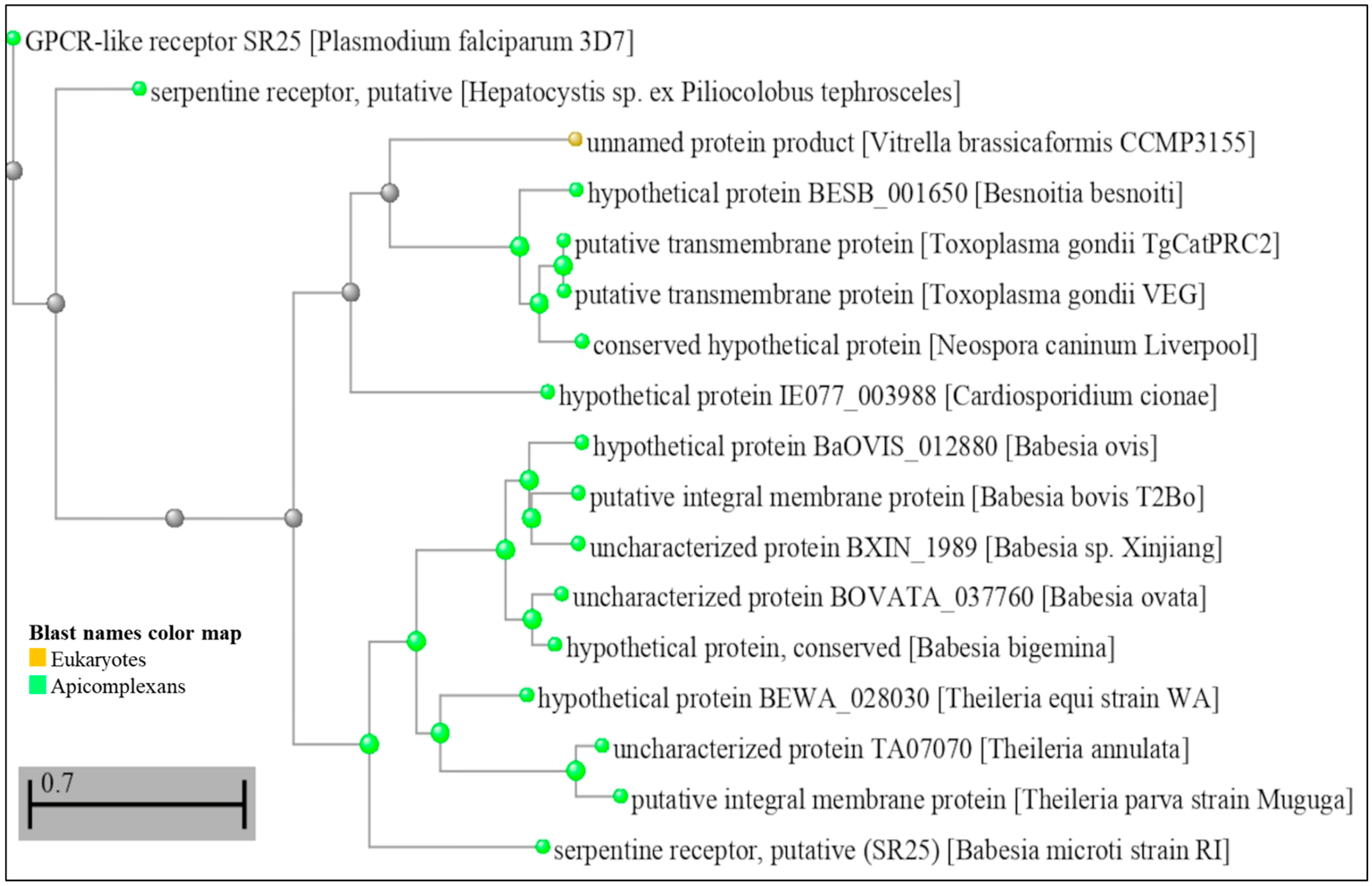 Ijms 24 07276 g002 Ijms 24 07276 g002