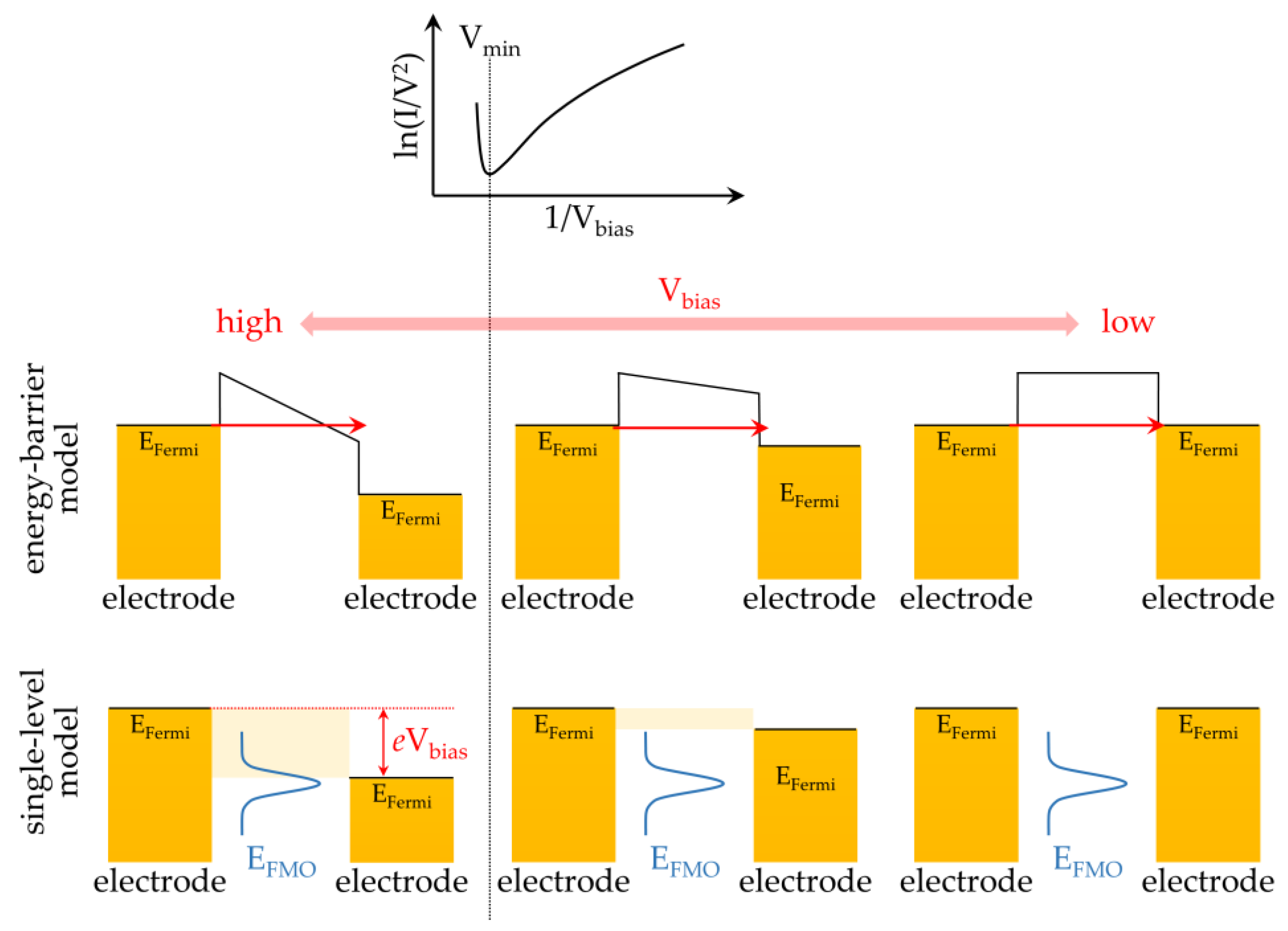 Ijms 24 07277 g003 Ijms 24 07277 g003