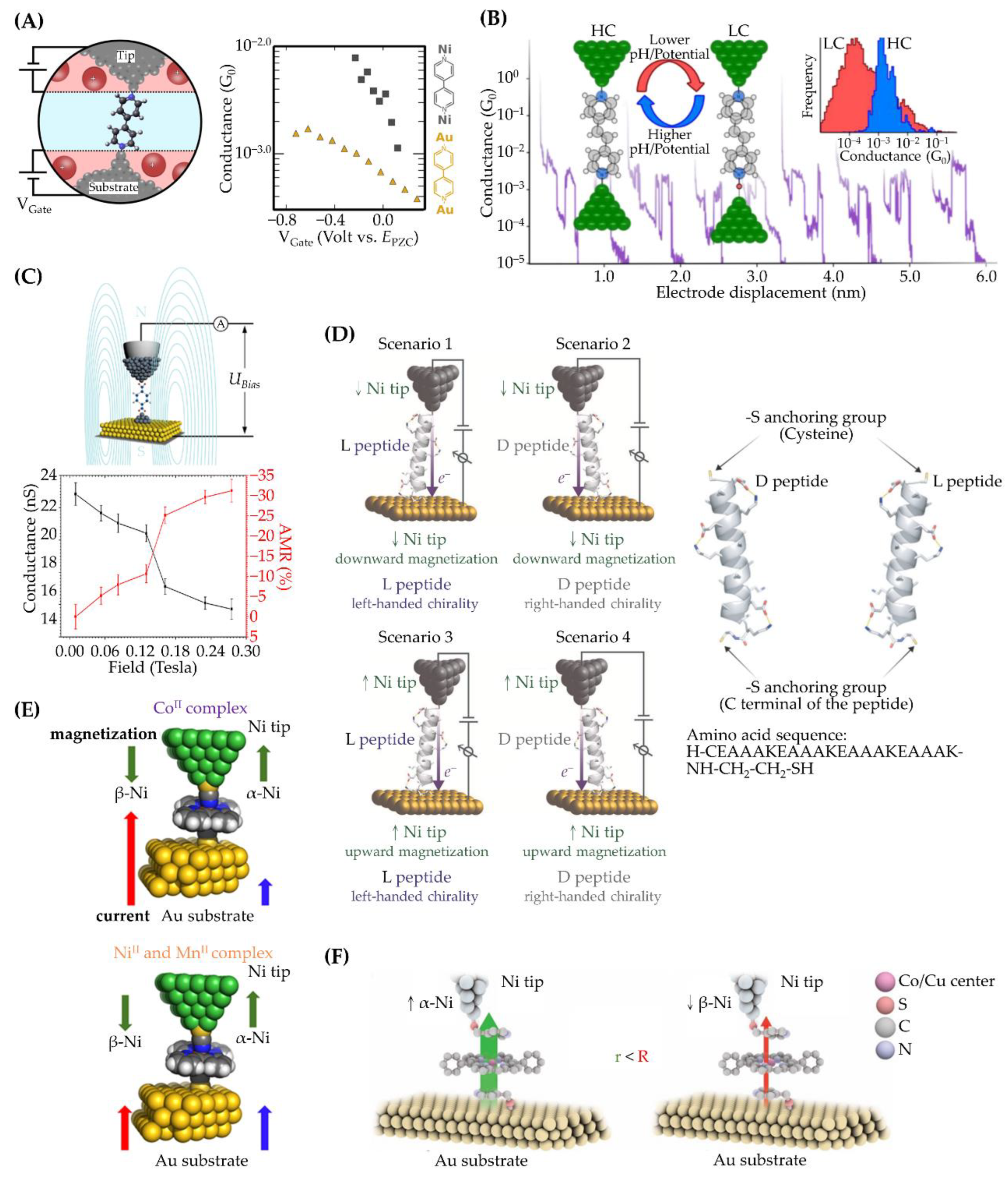 Ijms 24 07277 g005 Ijms 24 07277 g005