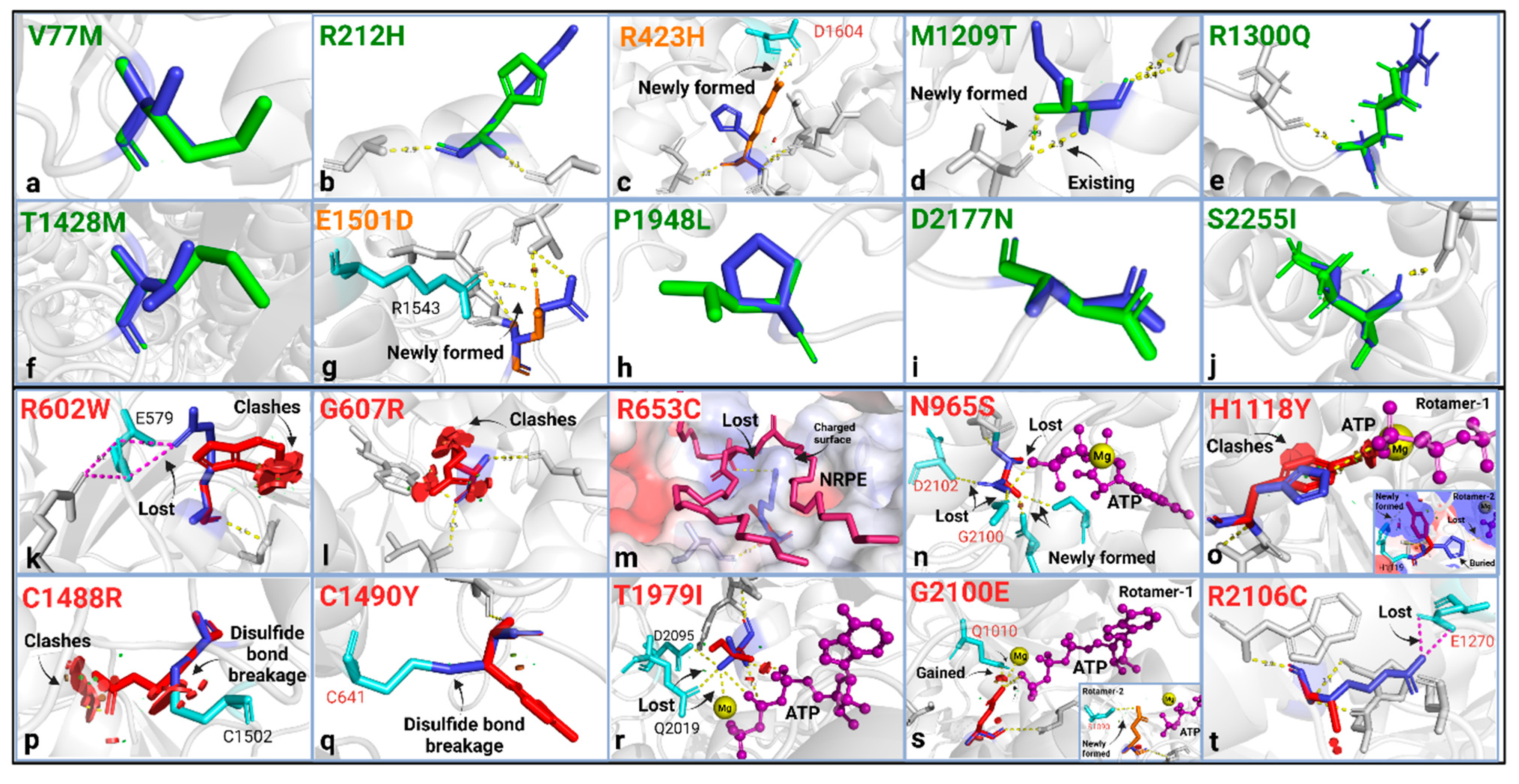 Ijms 24 07280 g002 Ijms 24 07280 g002