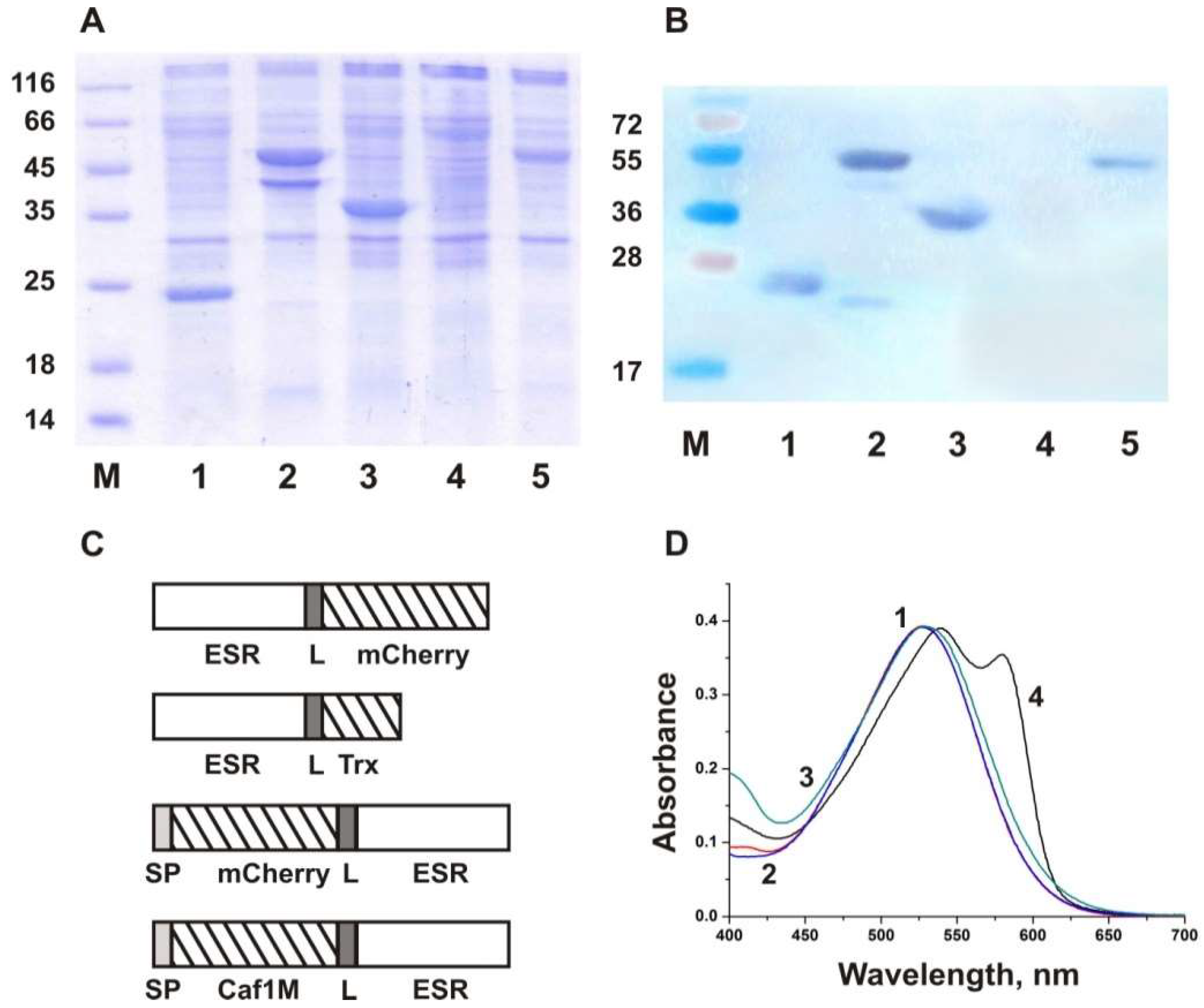Ijms 24 07369 g001 Ijms 24 07369 g001