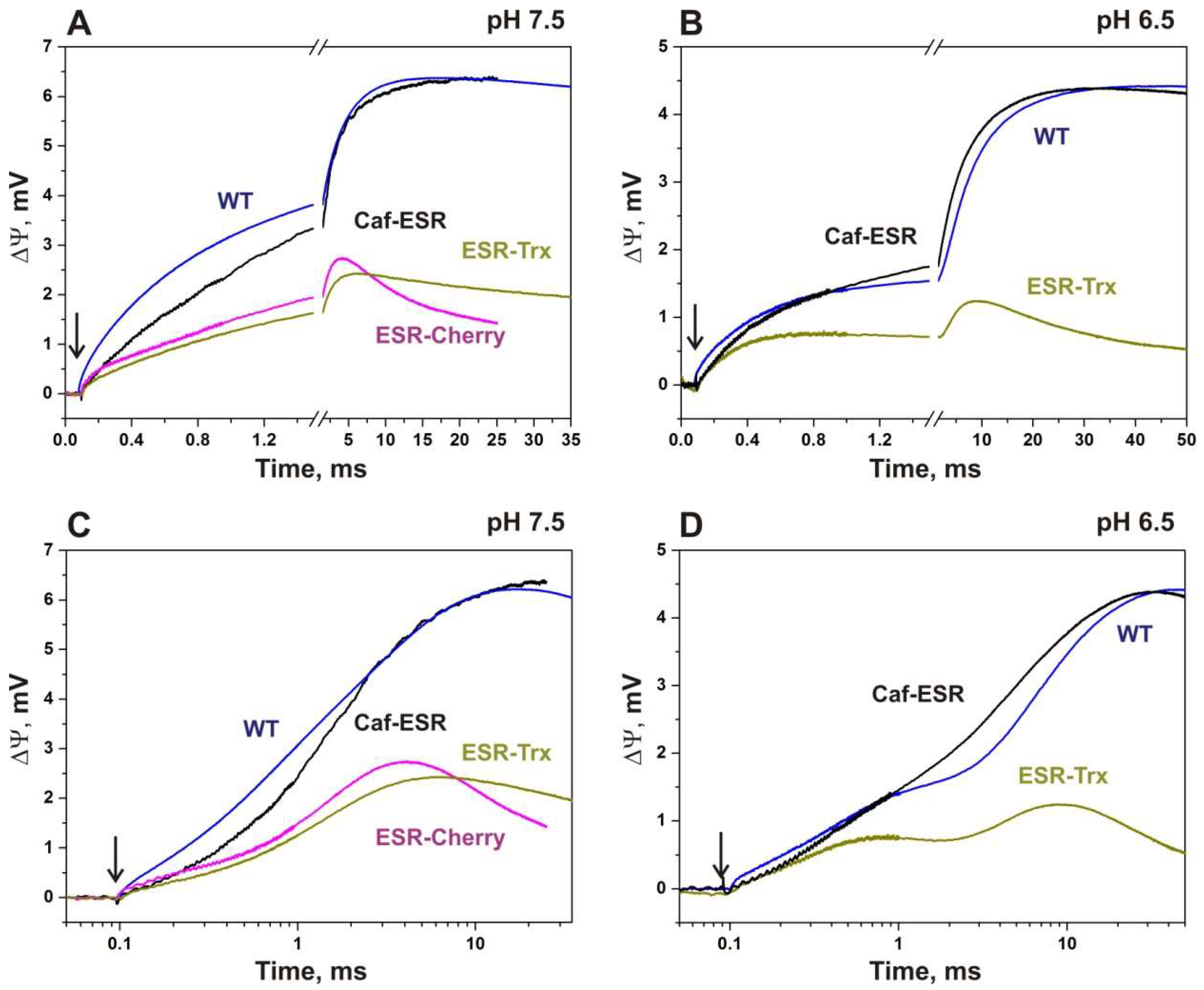 Ijms 24 07369 g005 Ijms 24 07369 g005