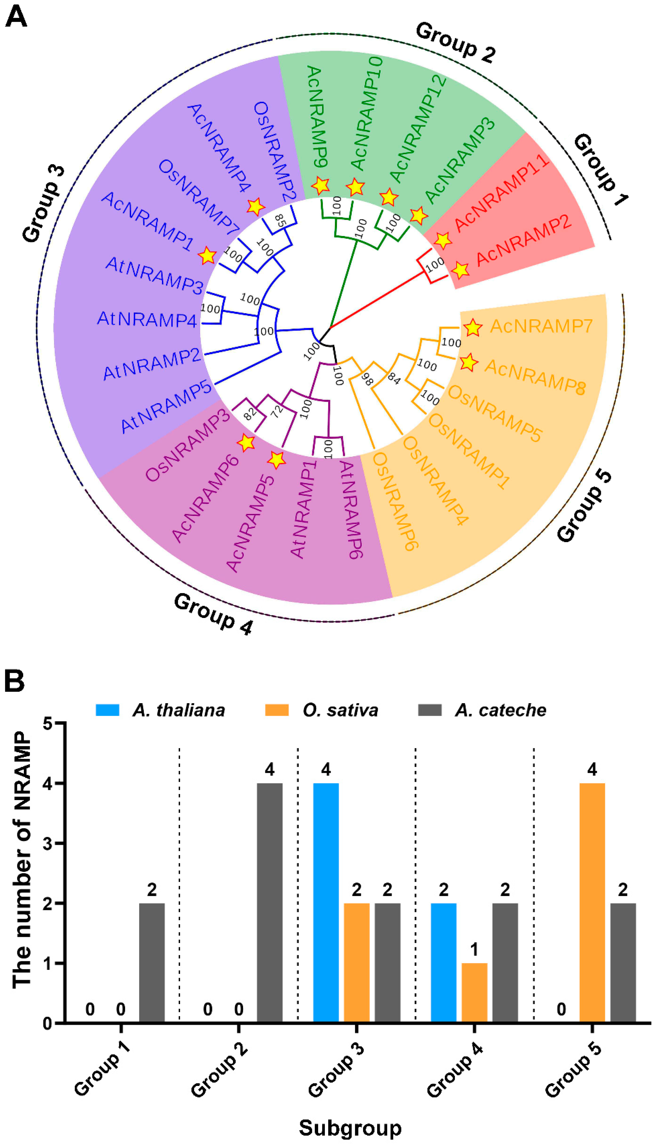 Ijms 24 07383 g004 Ijms 24 07383 g004