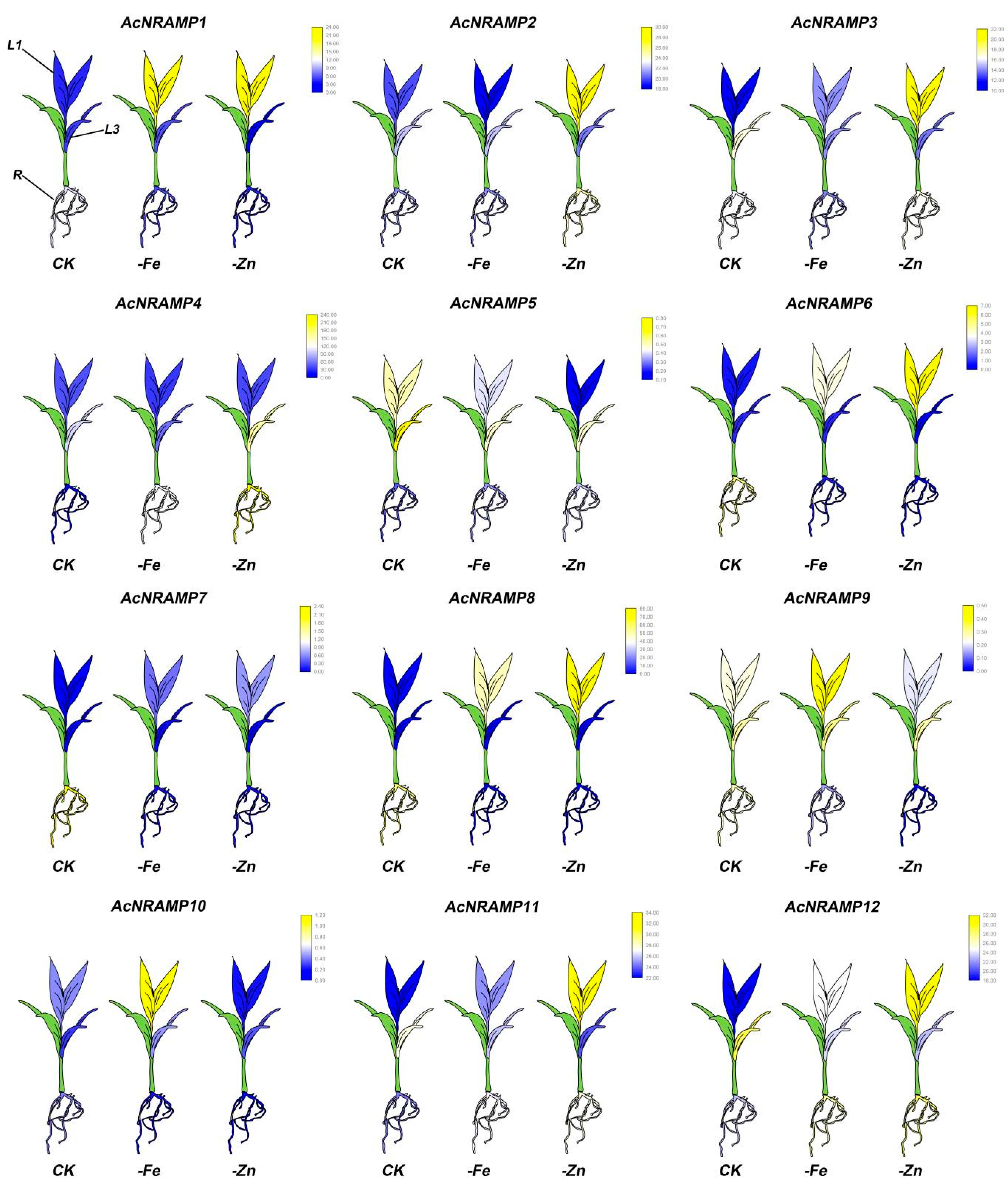 Ijms 24 07383 g008 Ijms 24 07383 g008