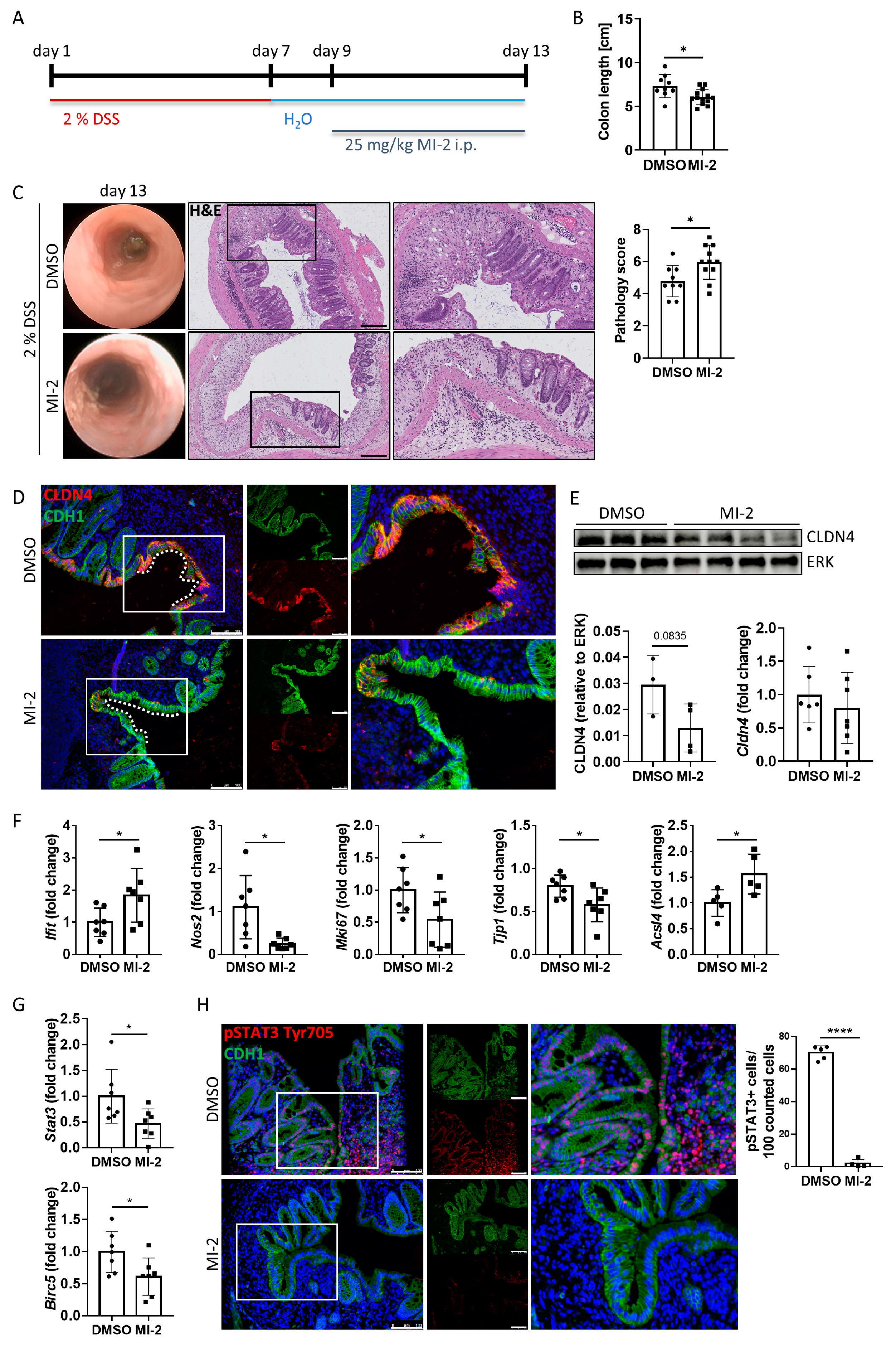 Ijms 24 07402 g006 Ijms 24 07402 g006
