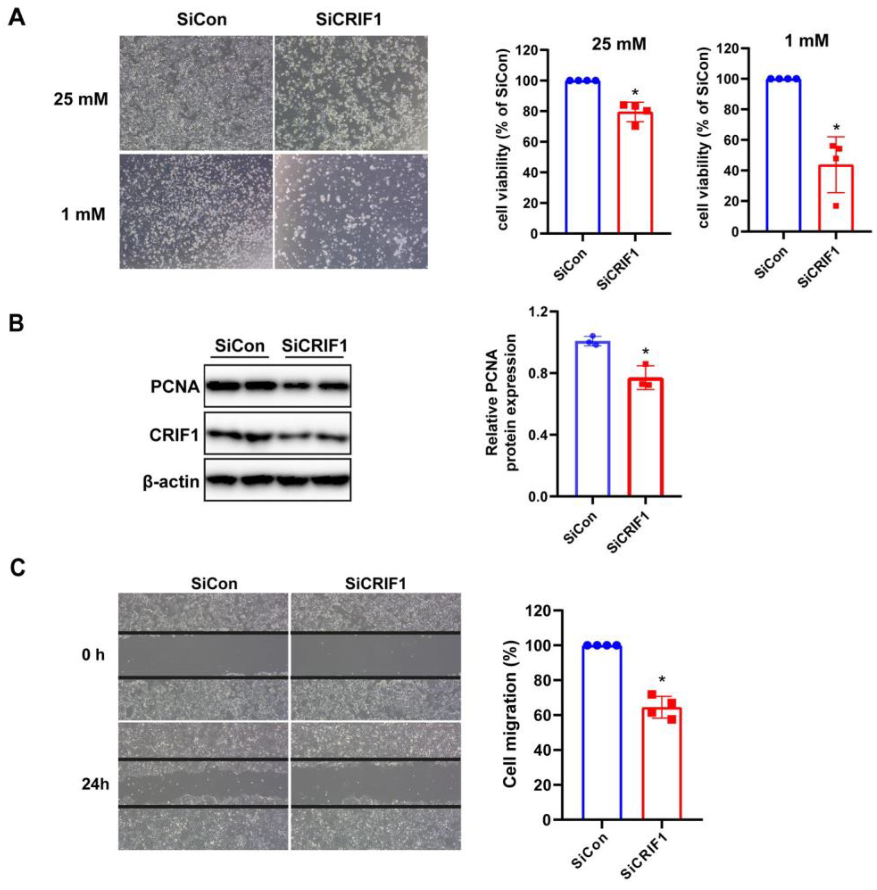 Ijms 24 07453 g002 Ijms 24 07453 g002