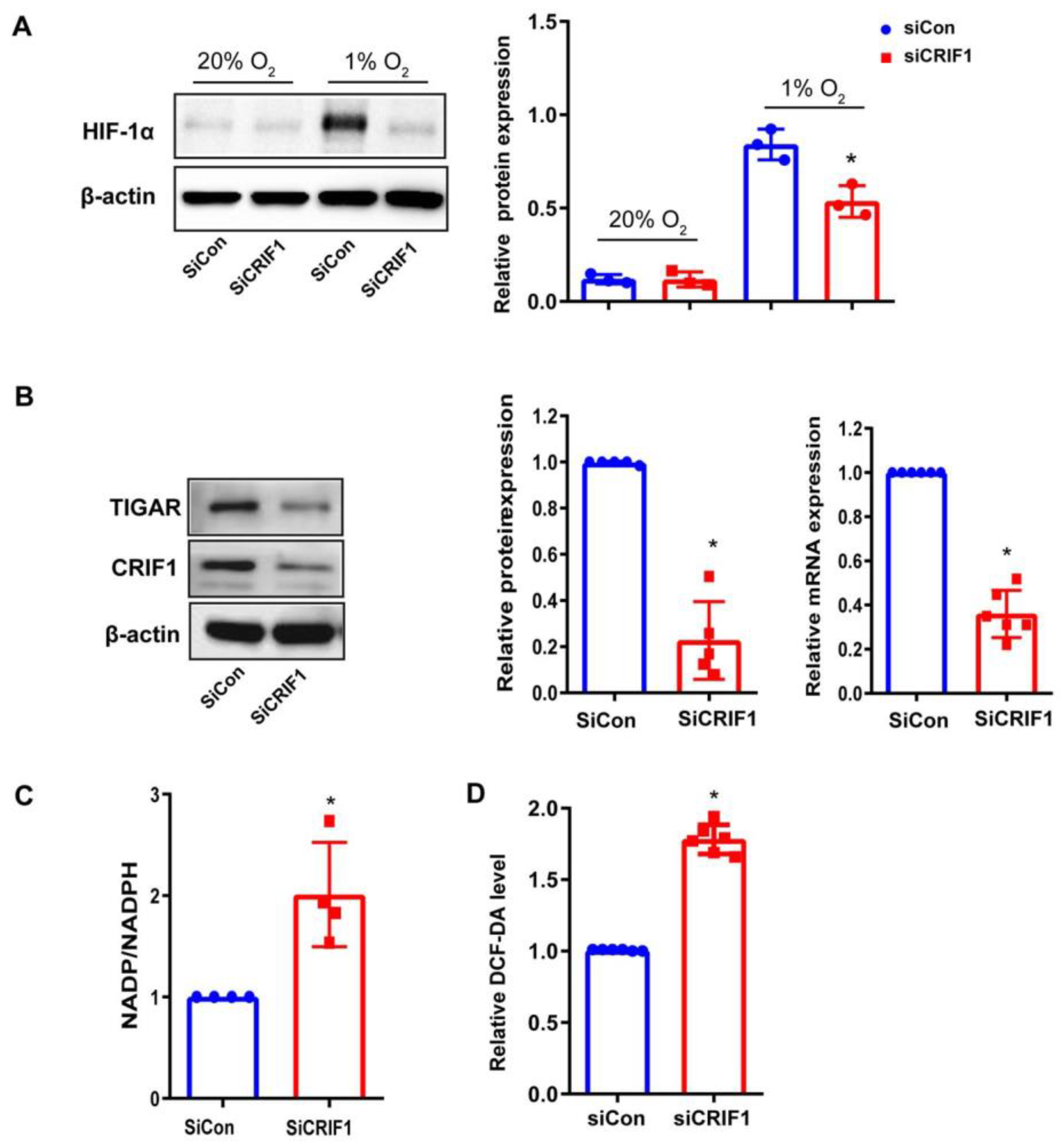 Ijms 24 07453 g004 Ijms 24 07453 g004