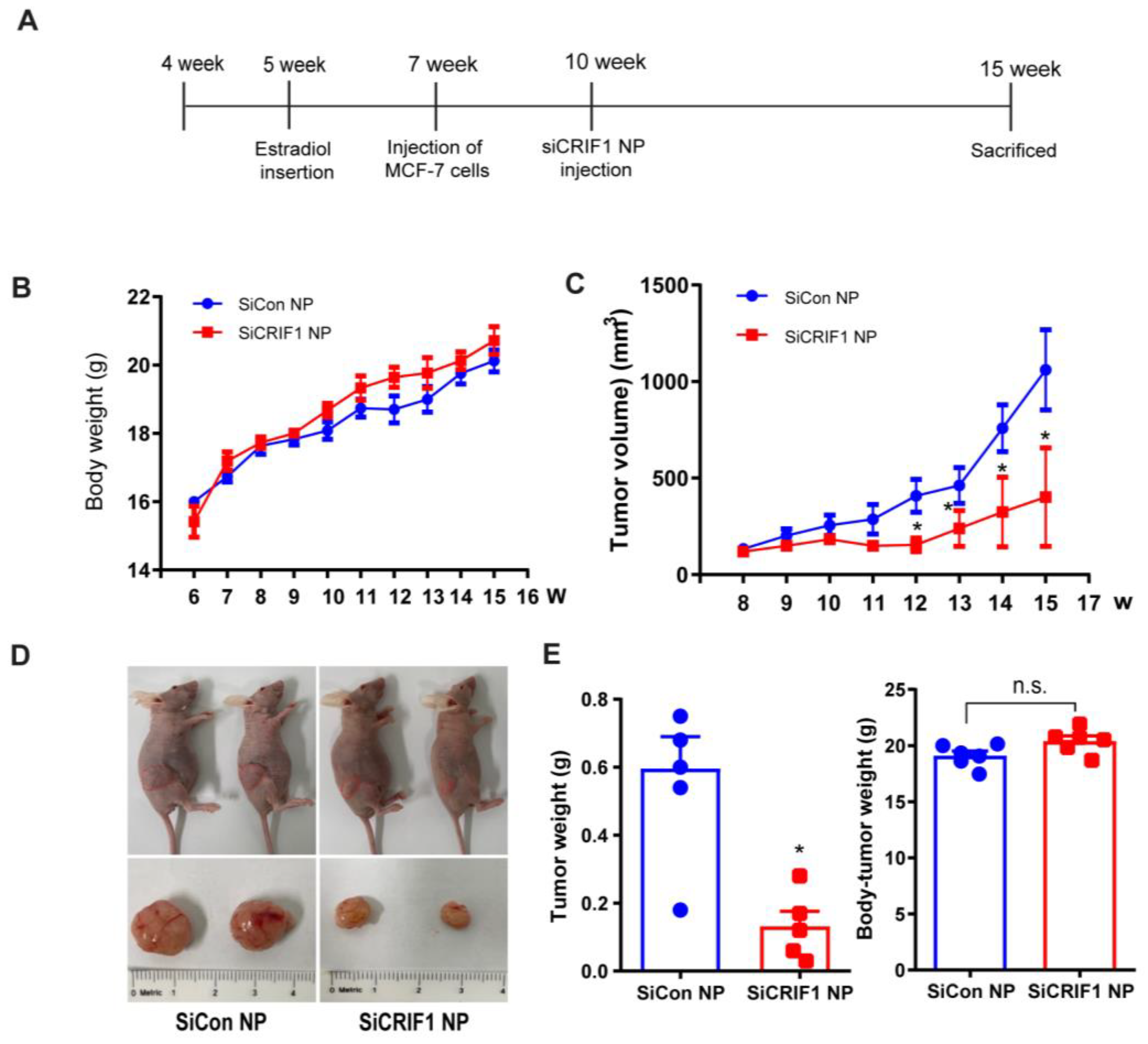 Ijms 24 07453 g005 Ijms 24 07453 g005