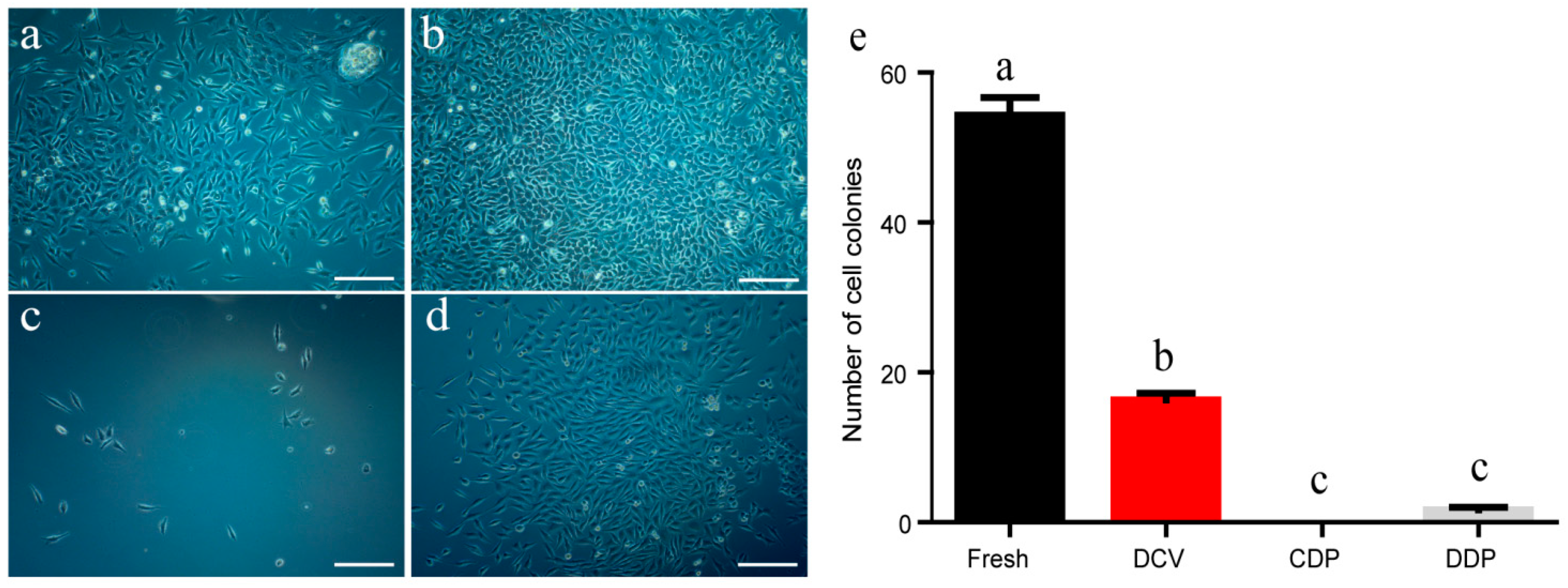 Ijms 24 07469 g001 Ijms 24 07469 g001