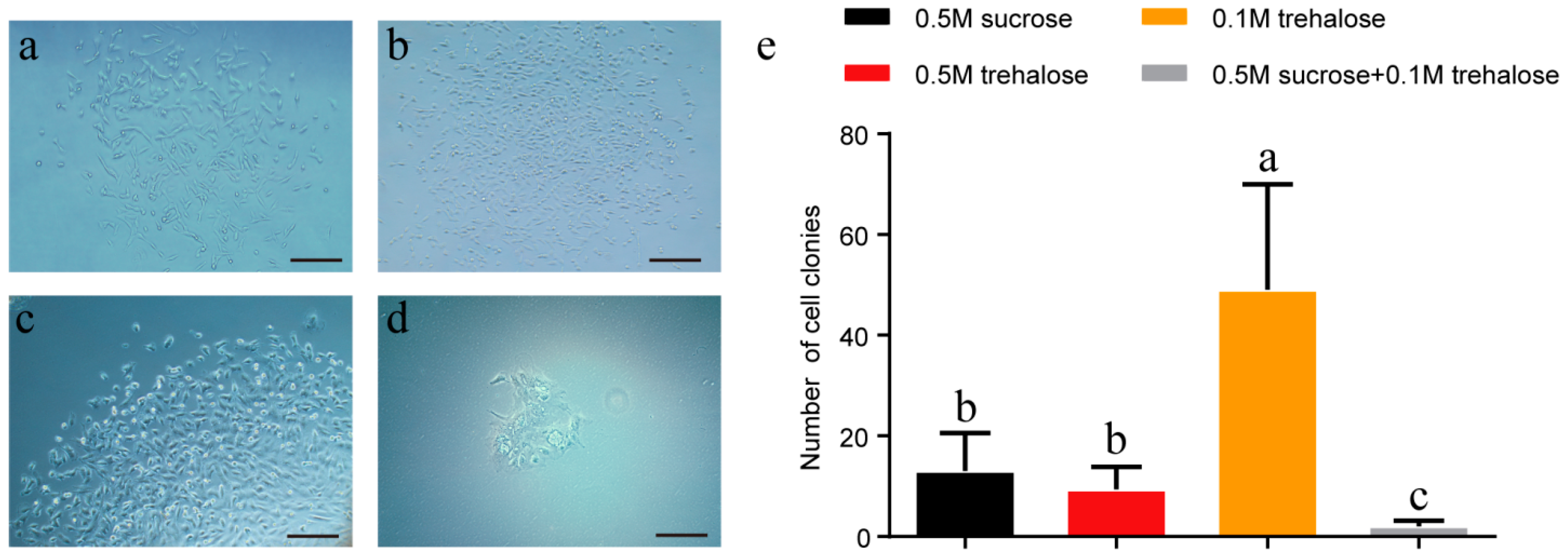 Ijms 24 07469 g003 Ijms 24 07469 g003