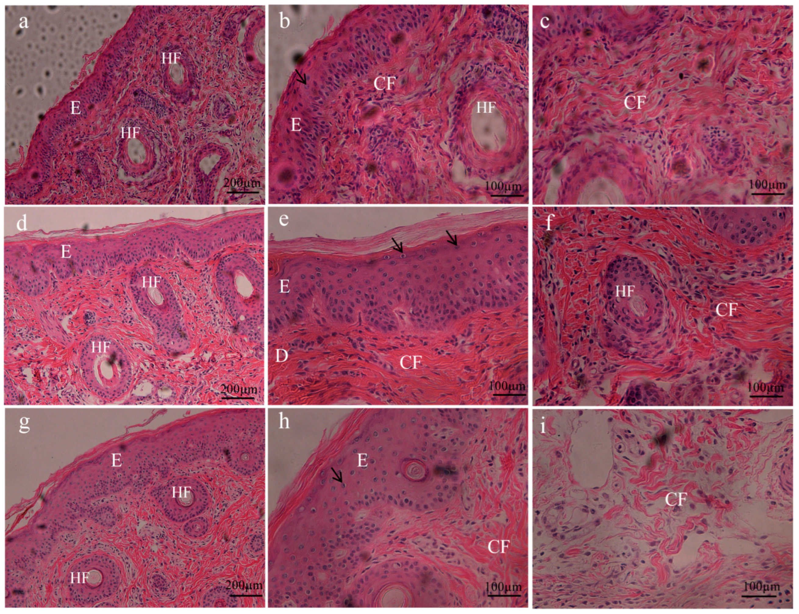 Ijms 24 07469 g004 Ijms 24 07469 g004