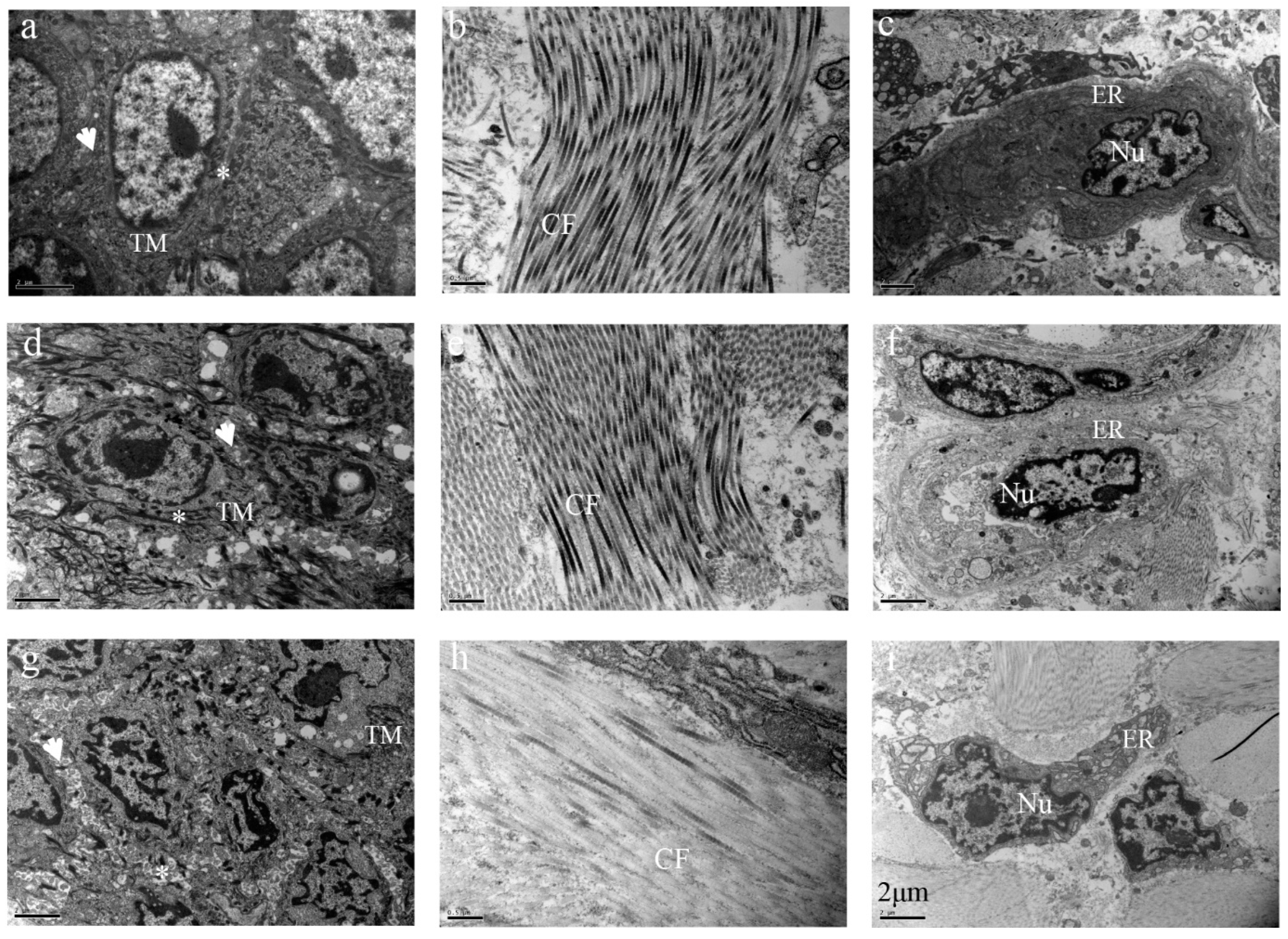 Ijms 24 07469 g005 Ijms 24 07469 g005