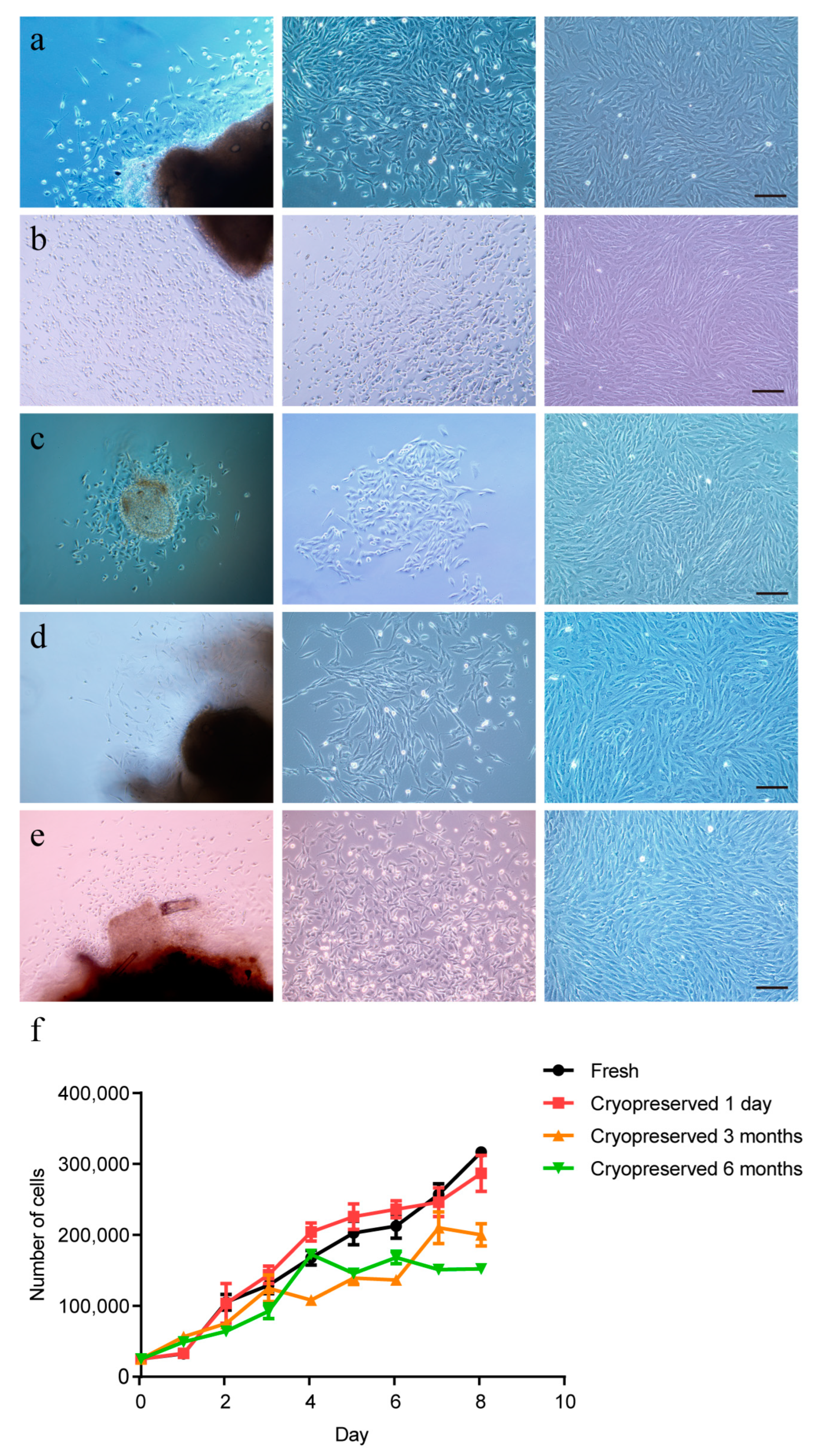 Ijms 24 07469 g006 Ijms 24 07469 g006