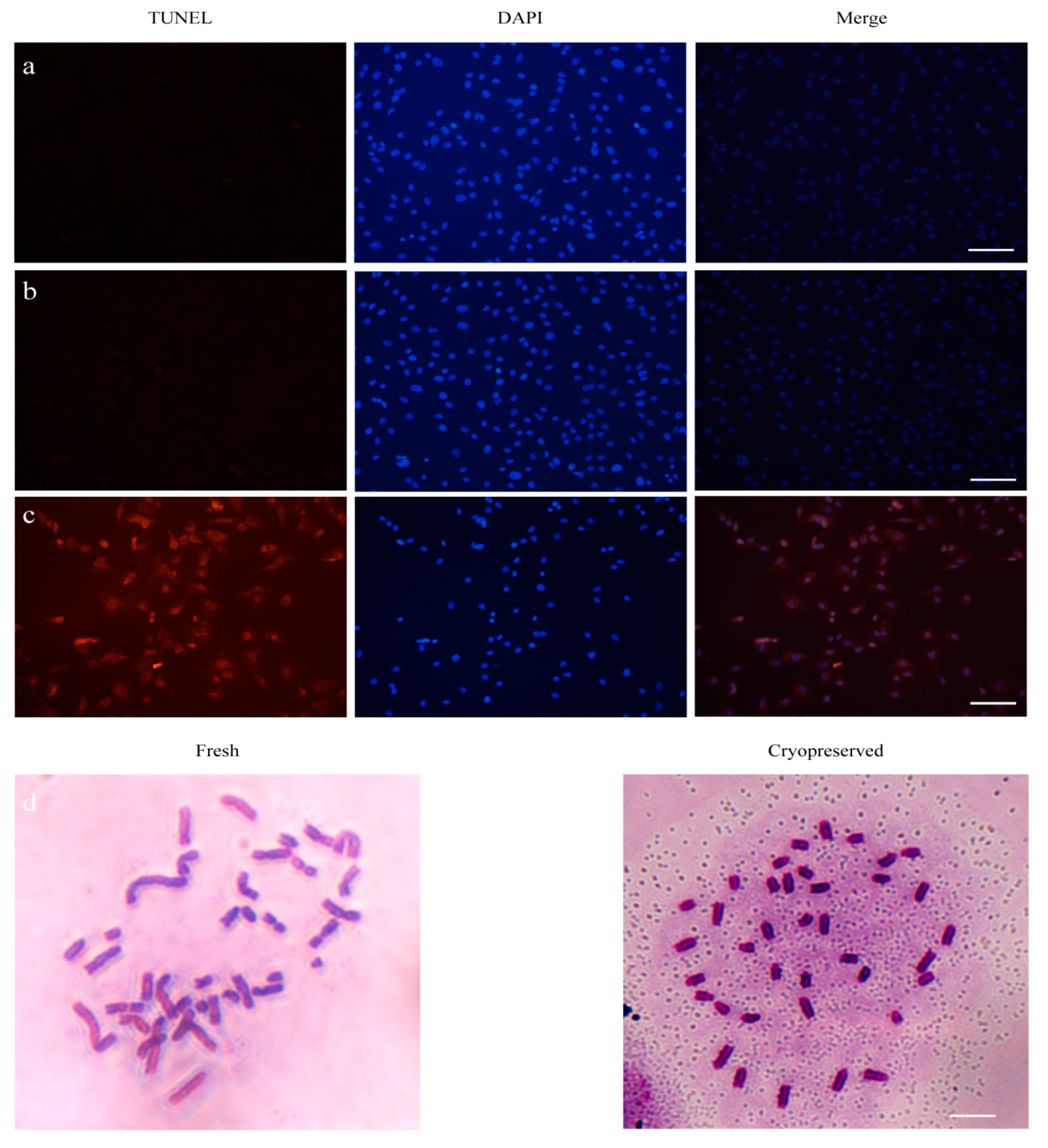 Ijms 24 07469 g007 Ijms 24 07469 g007