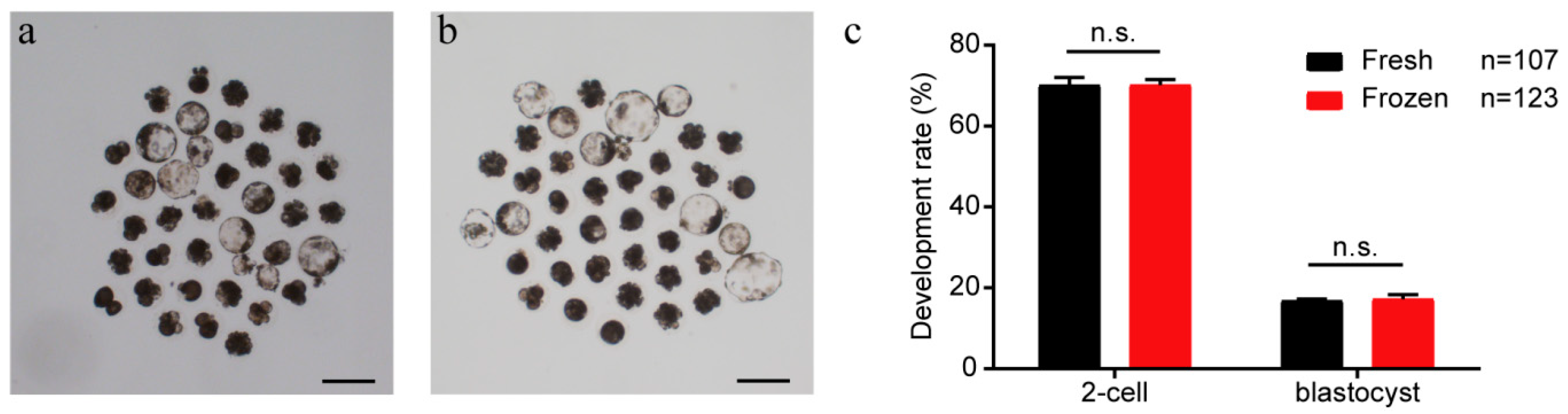 Ijms 24 07469 g008 Ijms 24 07469 g008