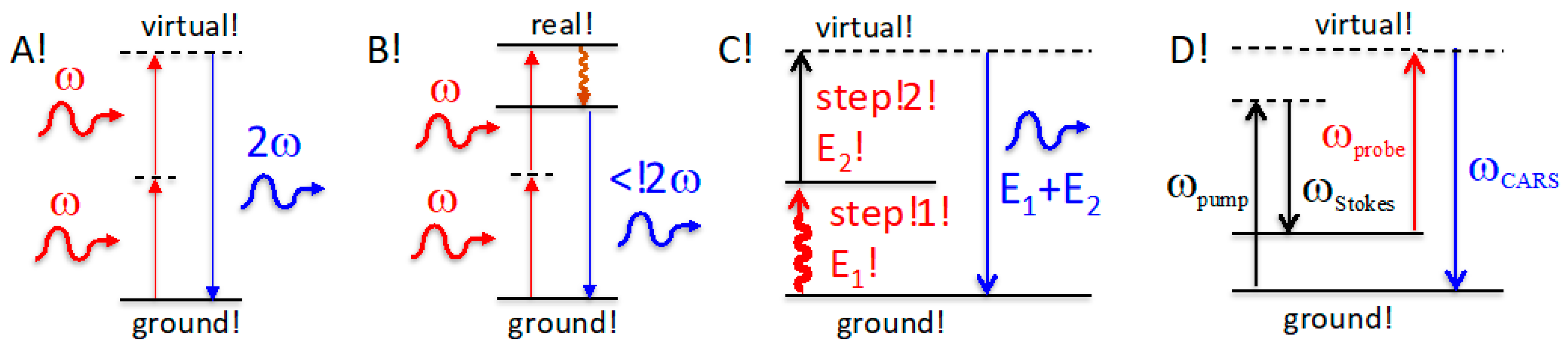 Ijms 24 07490 g001 Ijms 24 07490 g001