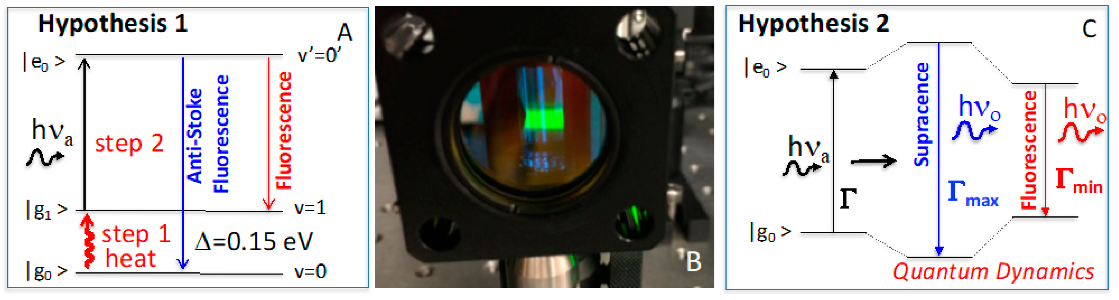 Ijms 24 07490 g002 Ijms 24 07490 g002