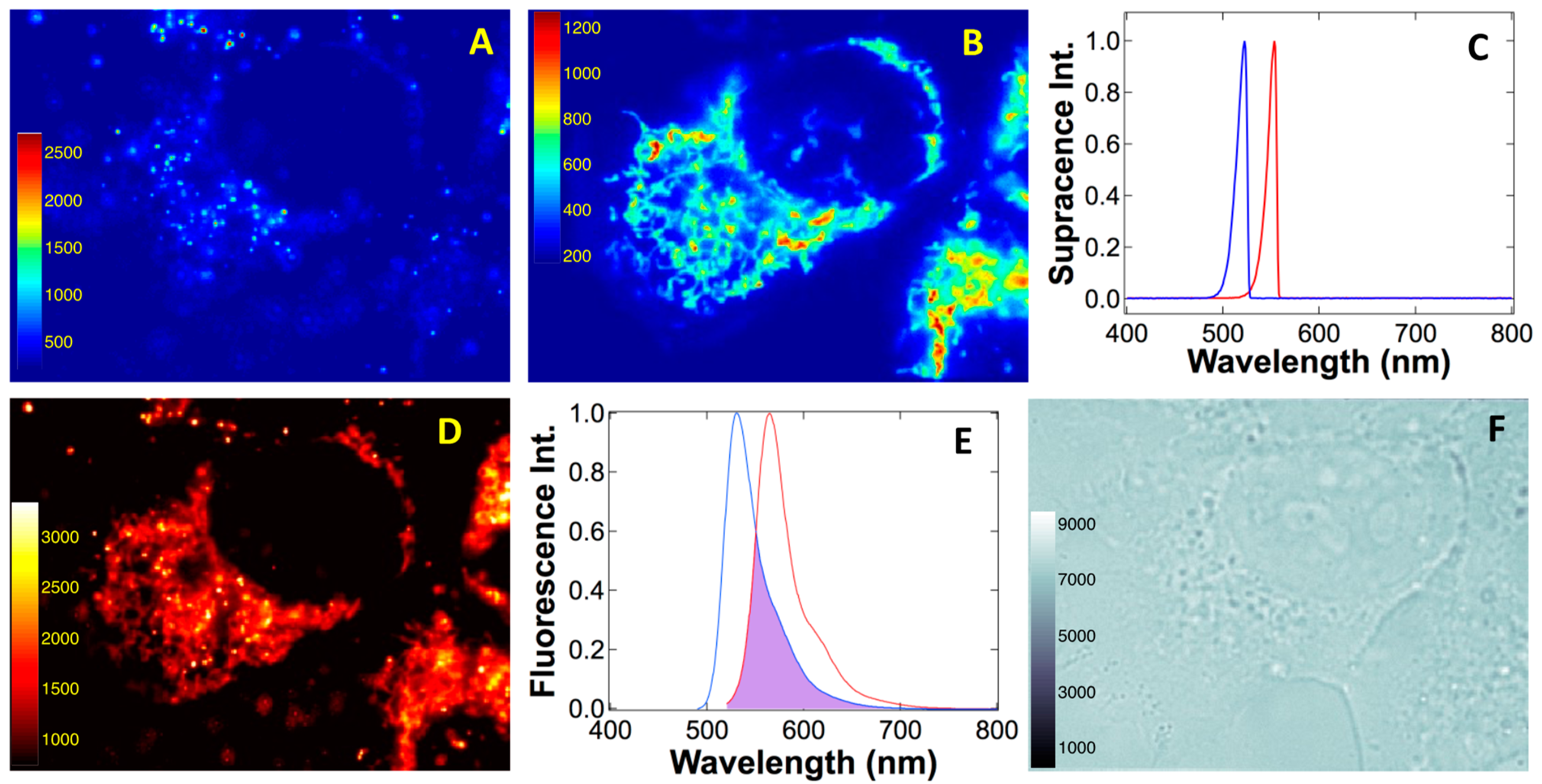 Ijms 24 07490 g010 Ijms 24 07490 g010