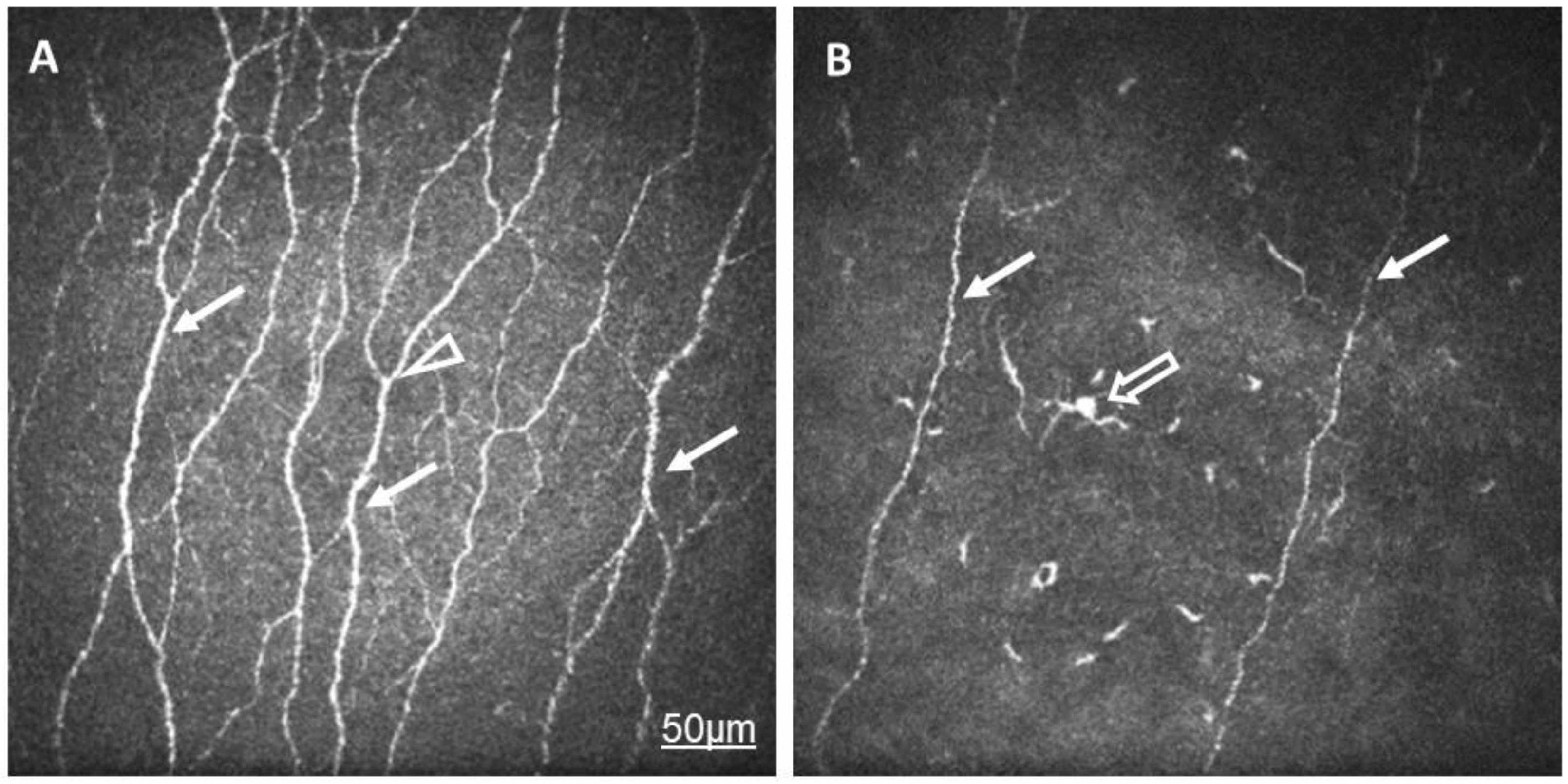 Ijms 24 07514 g001 Ijms 24 07514 g001