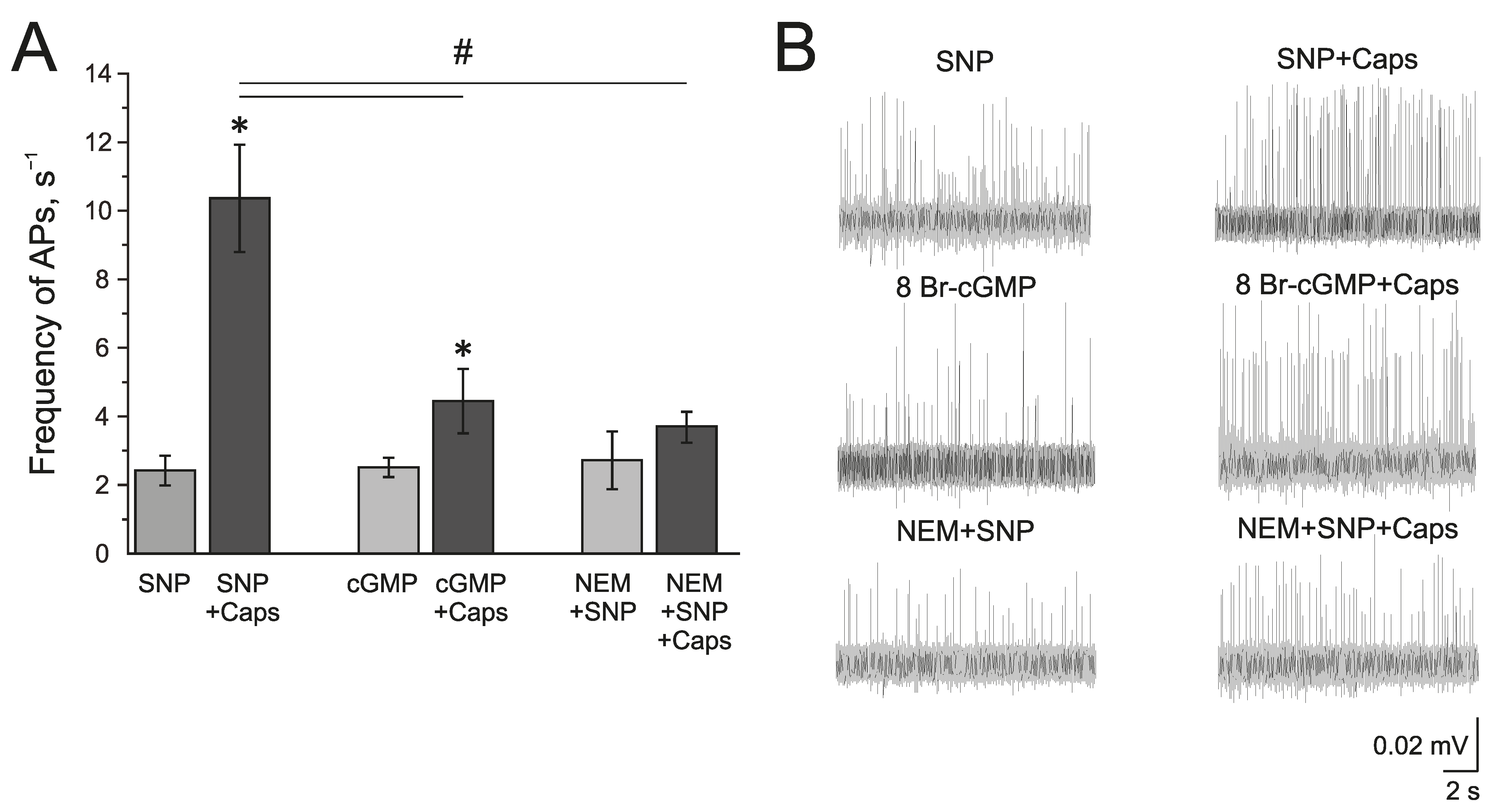 Ijms 24 07519 g006 Ijms 24 07519 g006