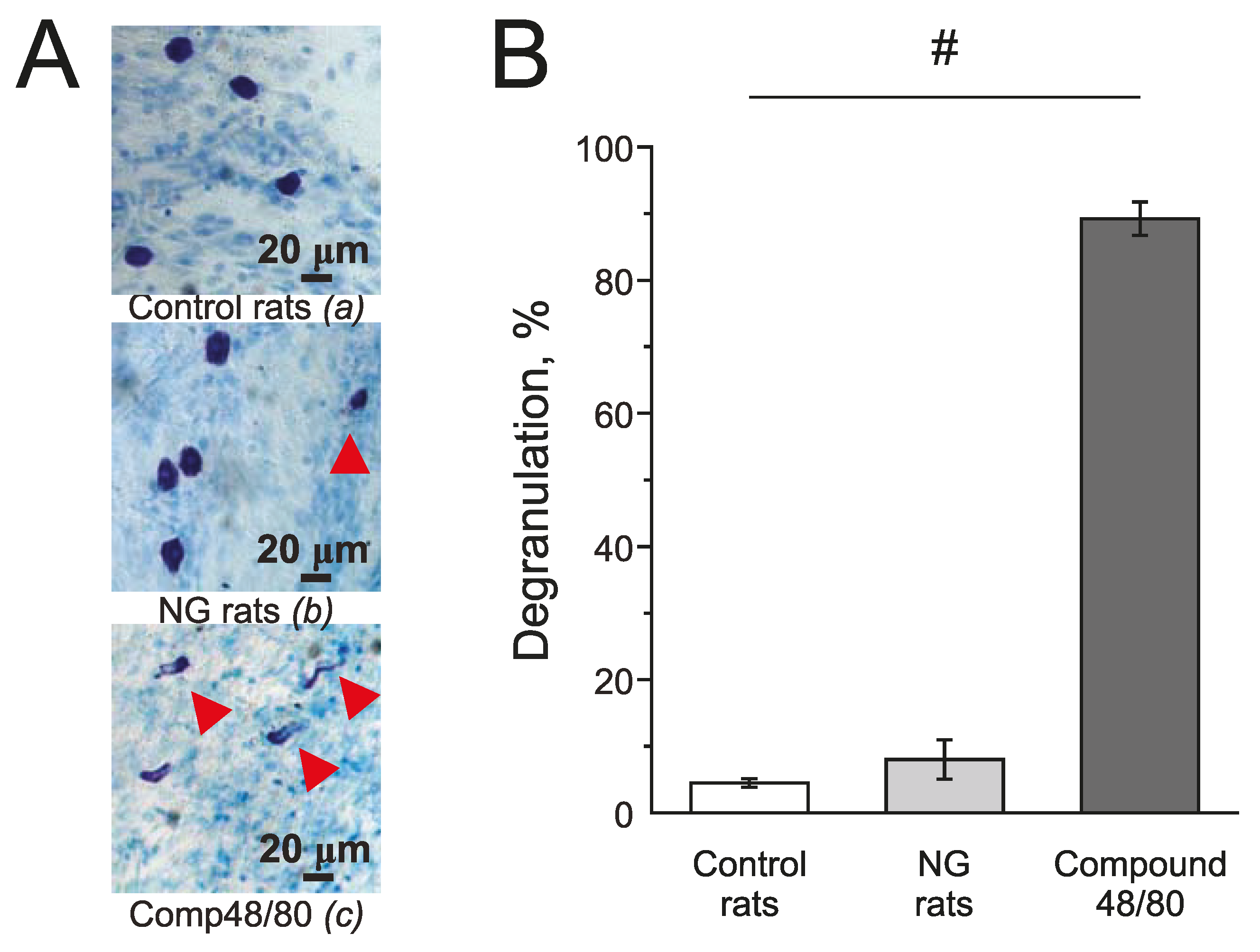 Ijms 24 07519 g007 Ijms 24 07519 g007