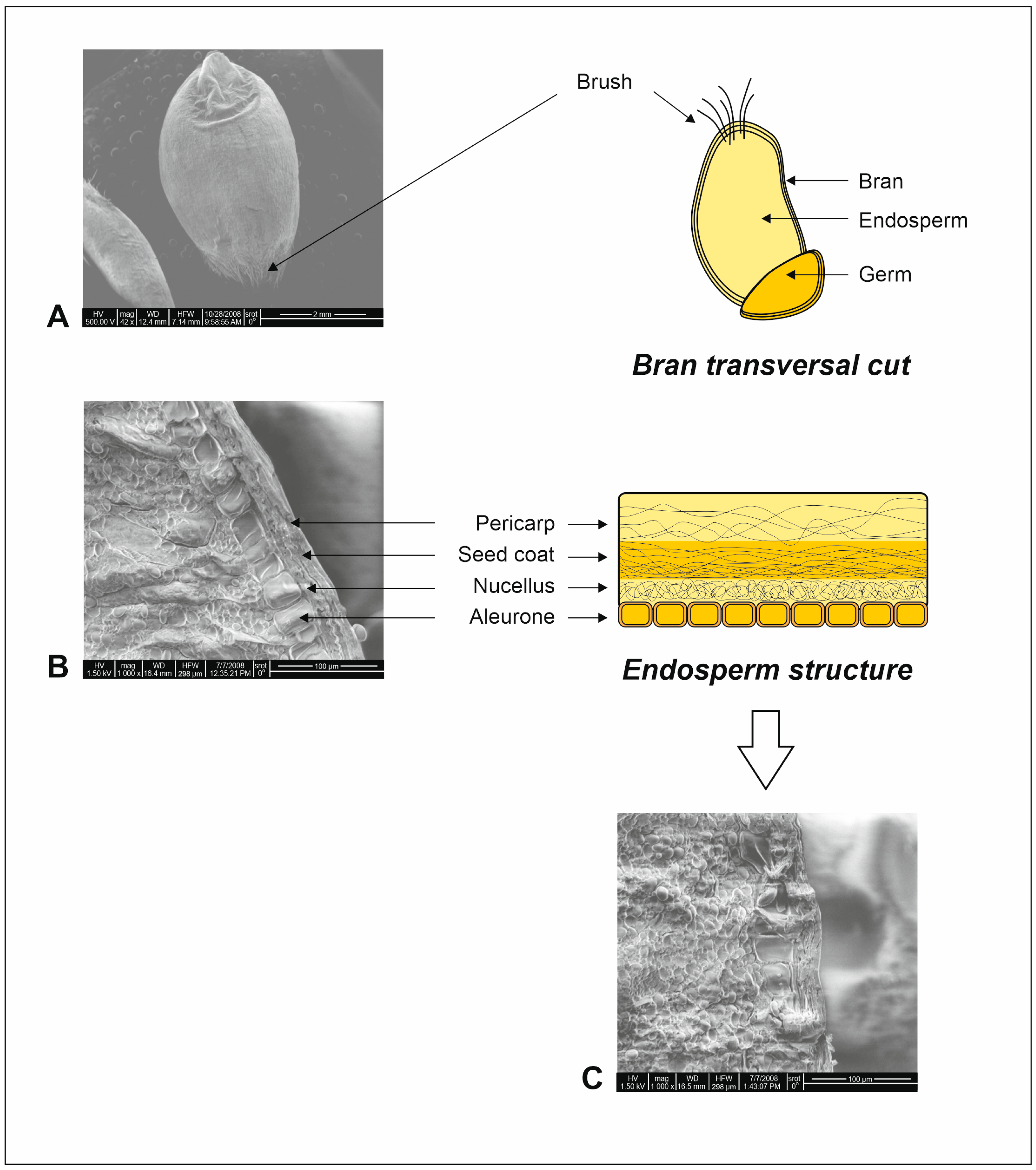Ijms 24 07524 g001 Ijms 24 07524 g001