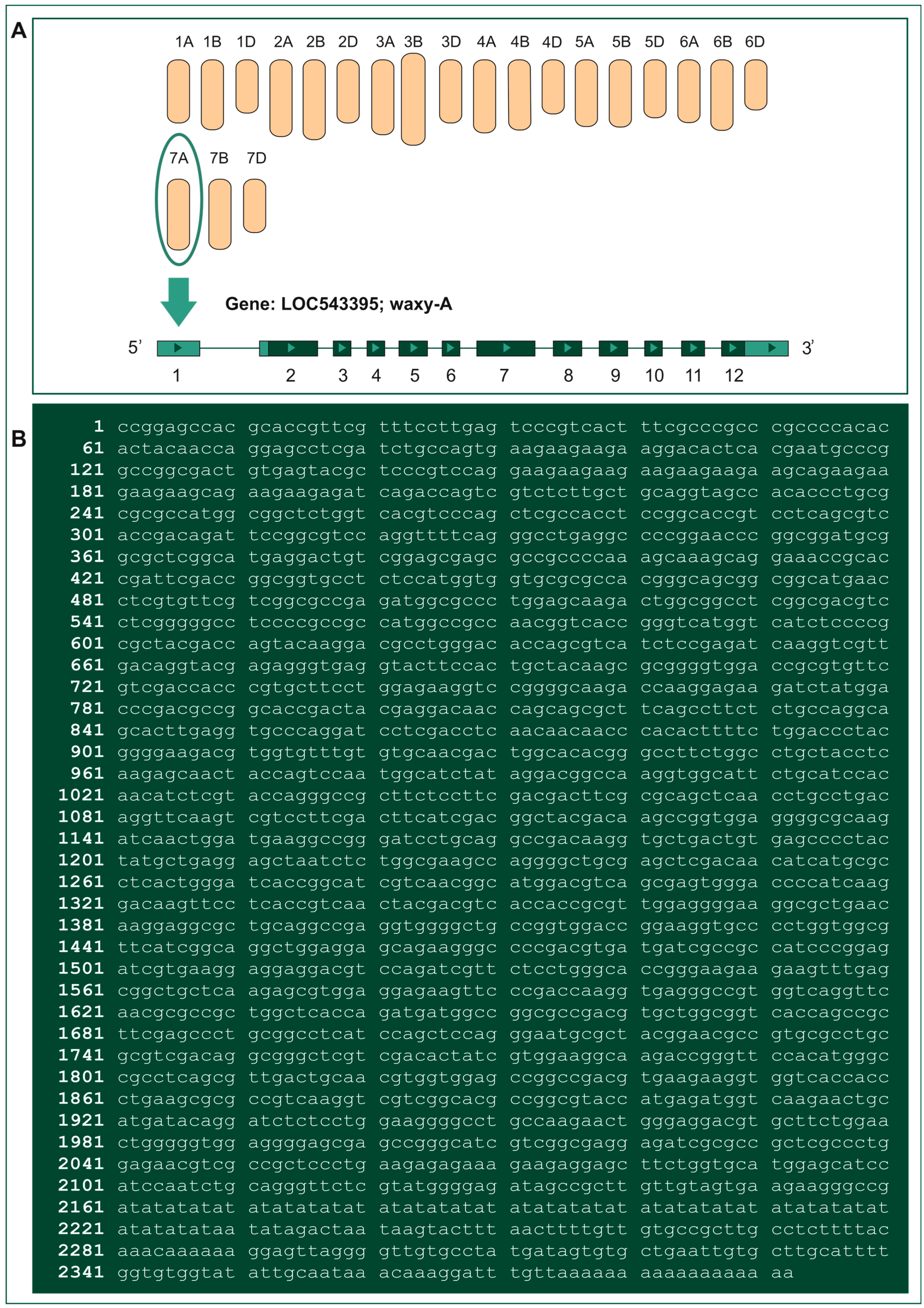 Ijms 24 07524 g003 Ijms 24 07524 g003