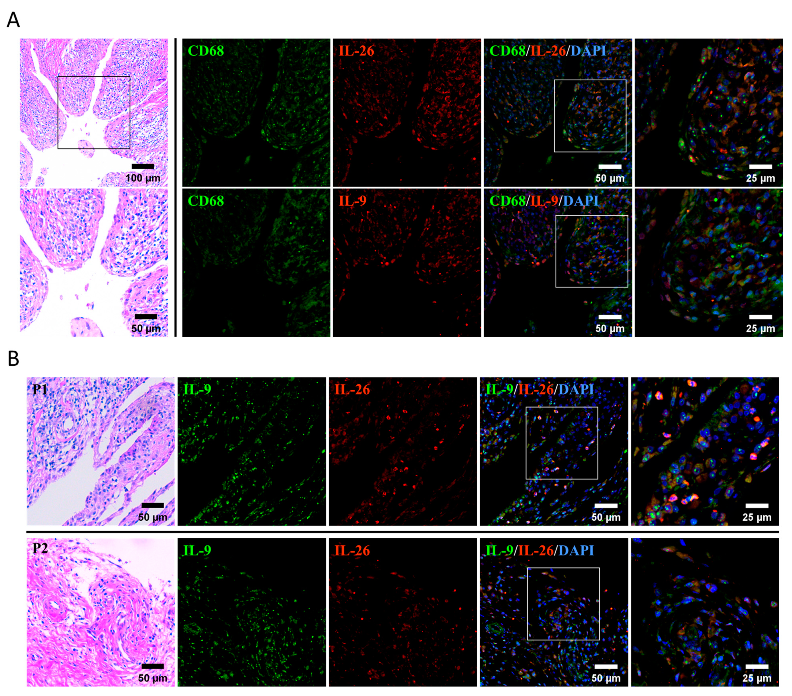 Ijms 24 07526 g001 Ijms 24 07526 g001