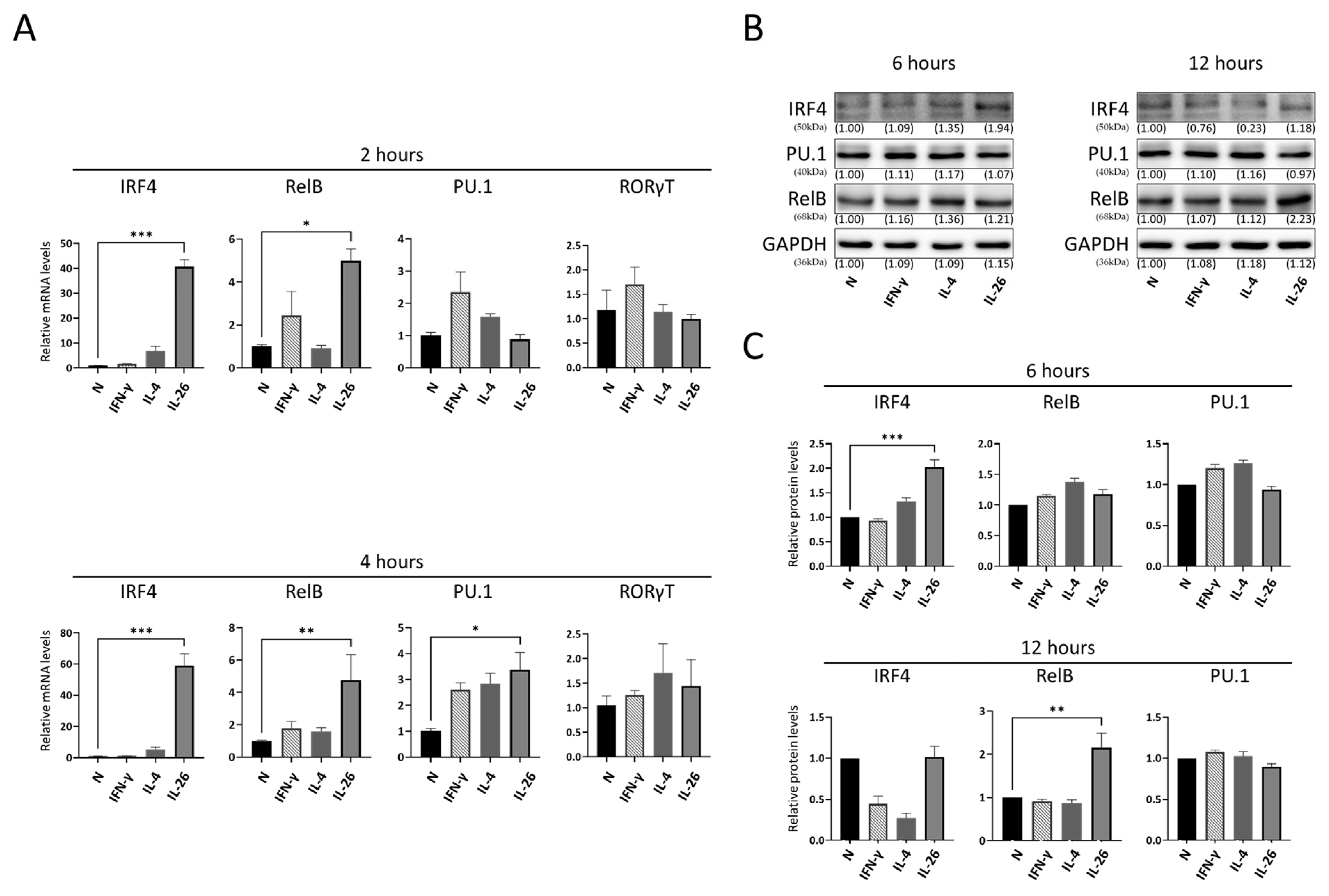 Ijms 24 07526 g003 Ijms 24 07526 g003