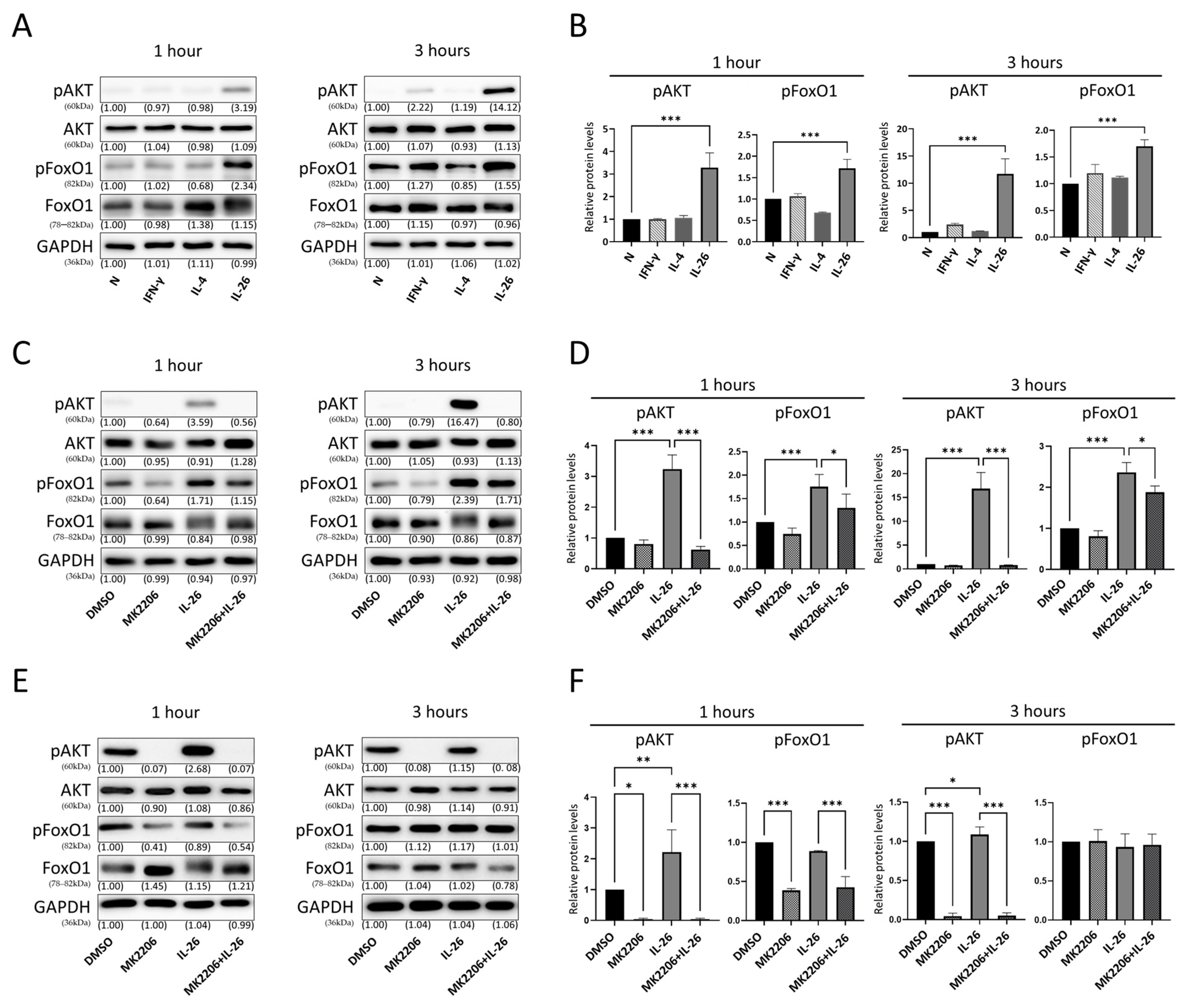 Ijms 24 07526 g004 Ijms 24 07526 g004