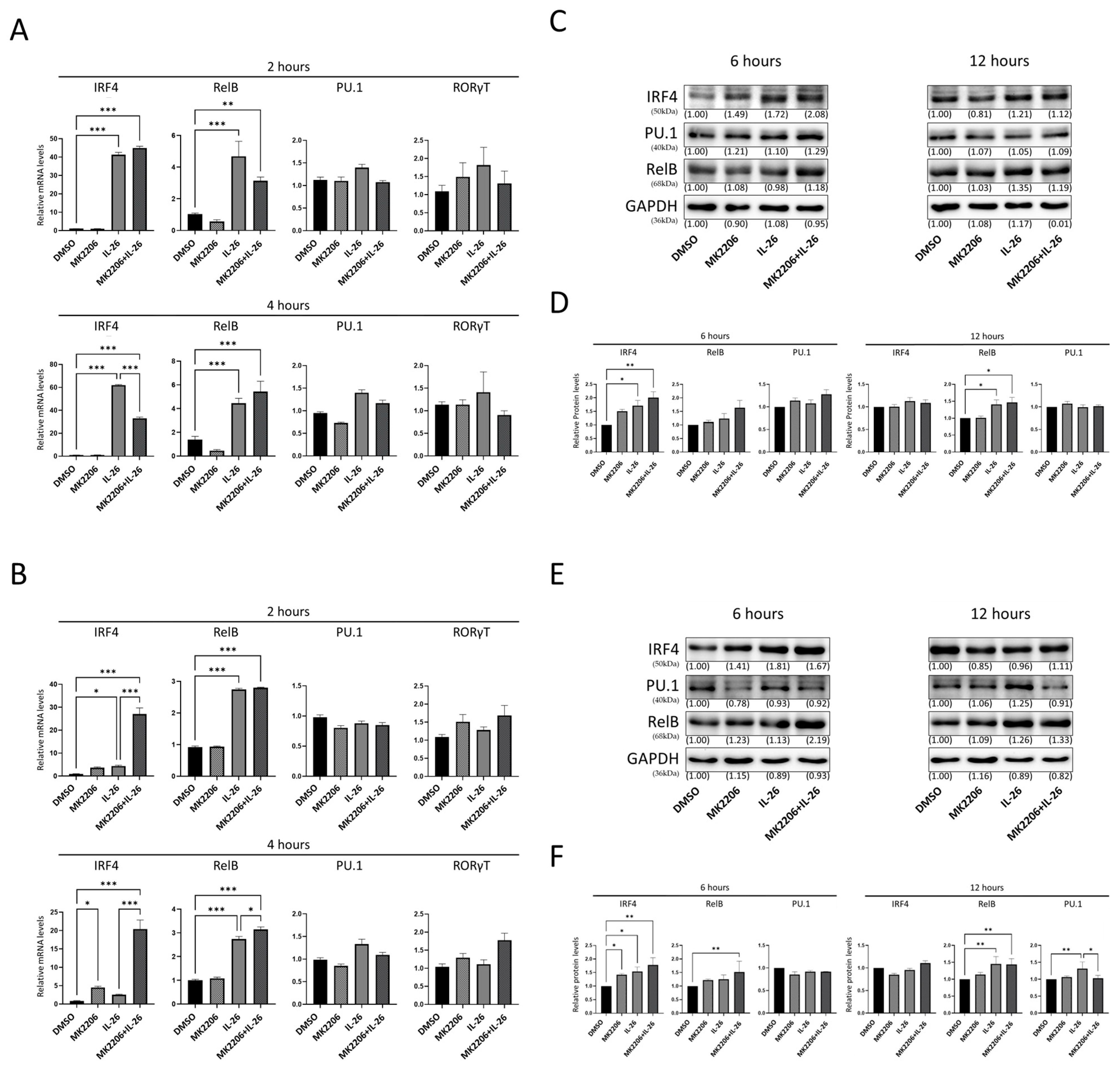 Ijms 24 07526 g005 Ijms 24 07526 g005