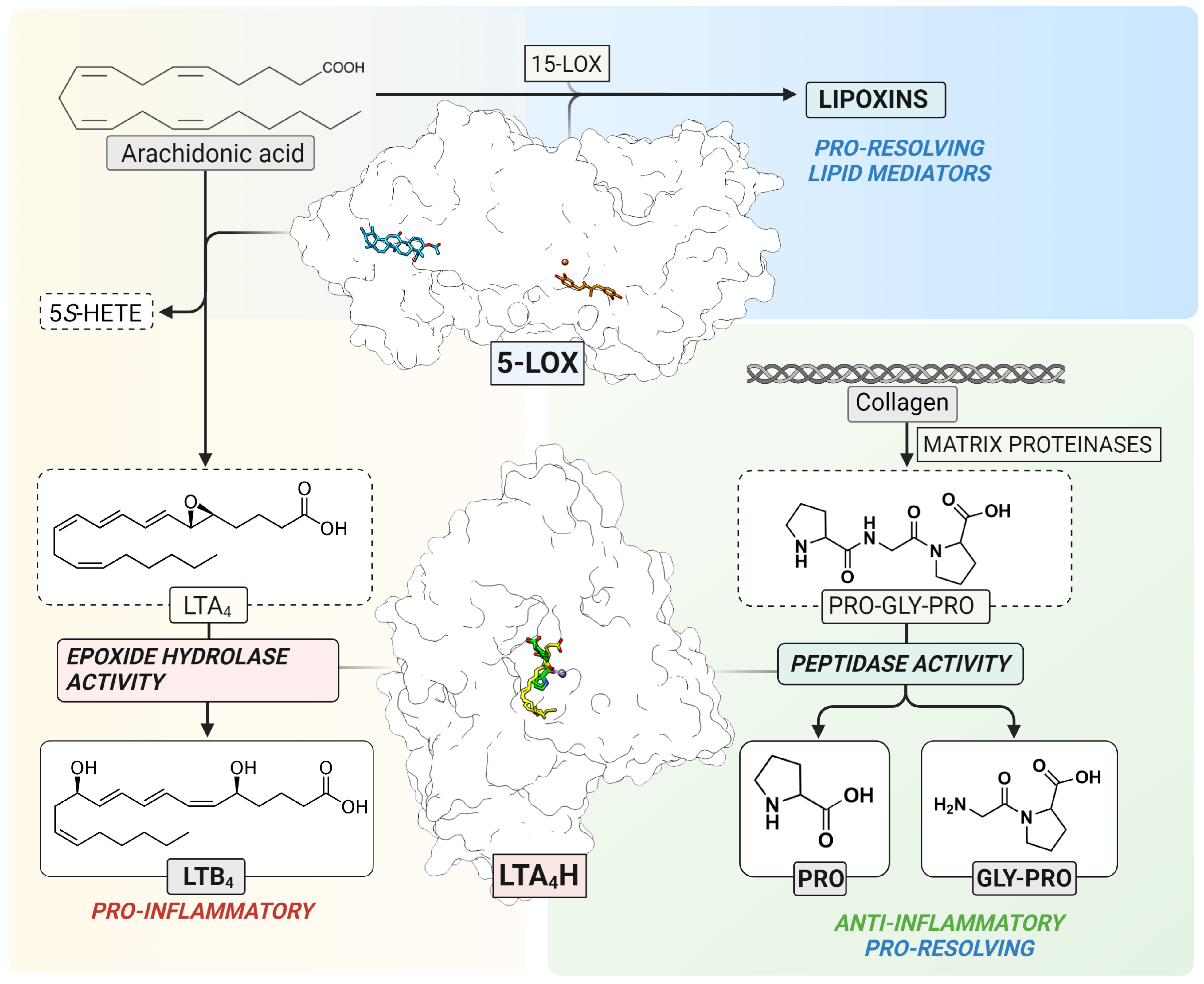 Ijms 24 07539 g001 Ijms 24 07539 g001