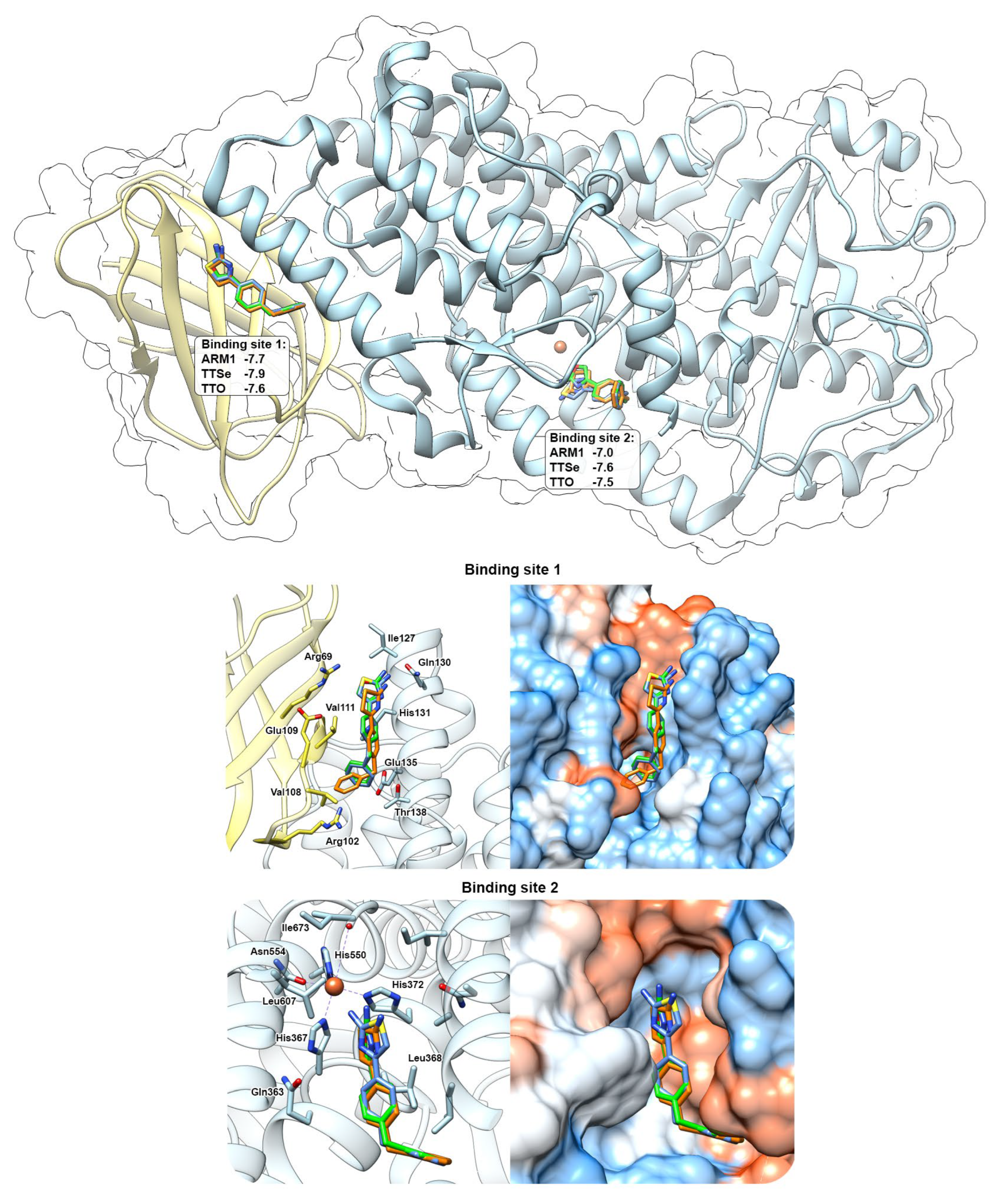 Ijms 24 07539 g008 Ijms 24 07539 g008