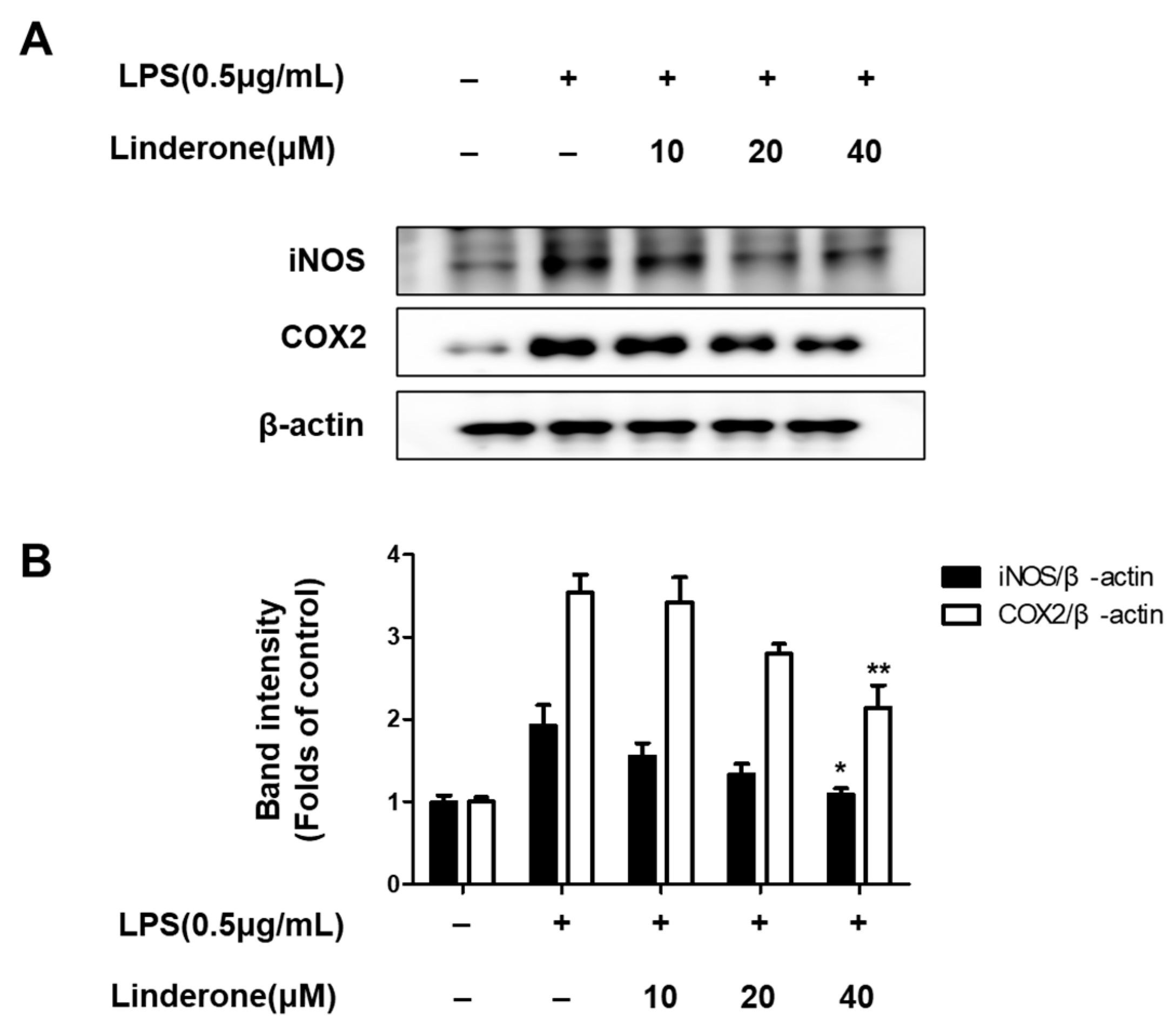 Ijms 24 07569 g003 Ijms 24 07569 g003
